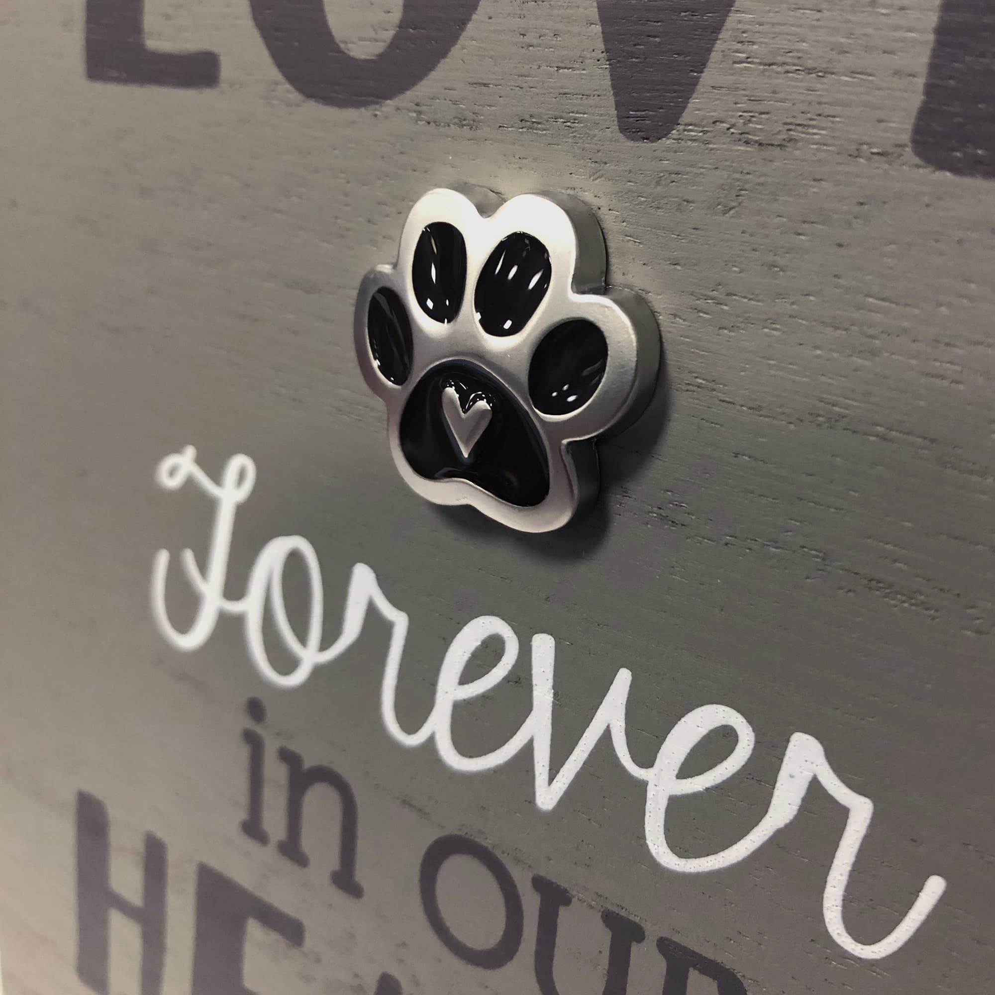 Malden International Designs A Lifetime of Love, Forever in our Hearts 4" x 6" Pet Frame