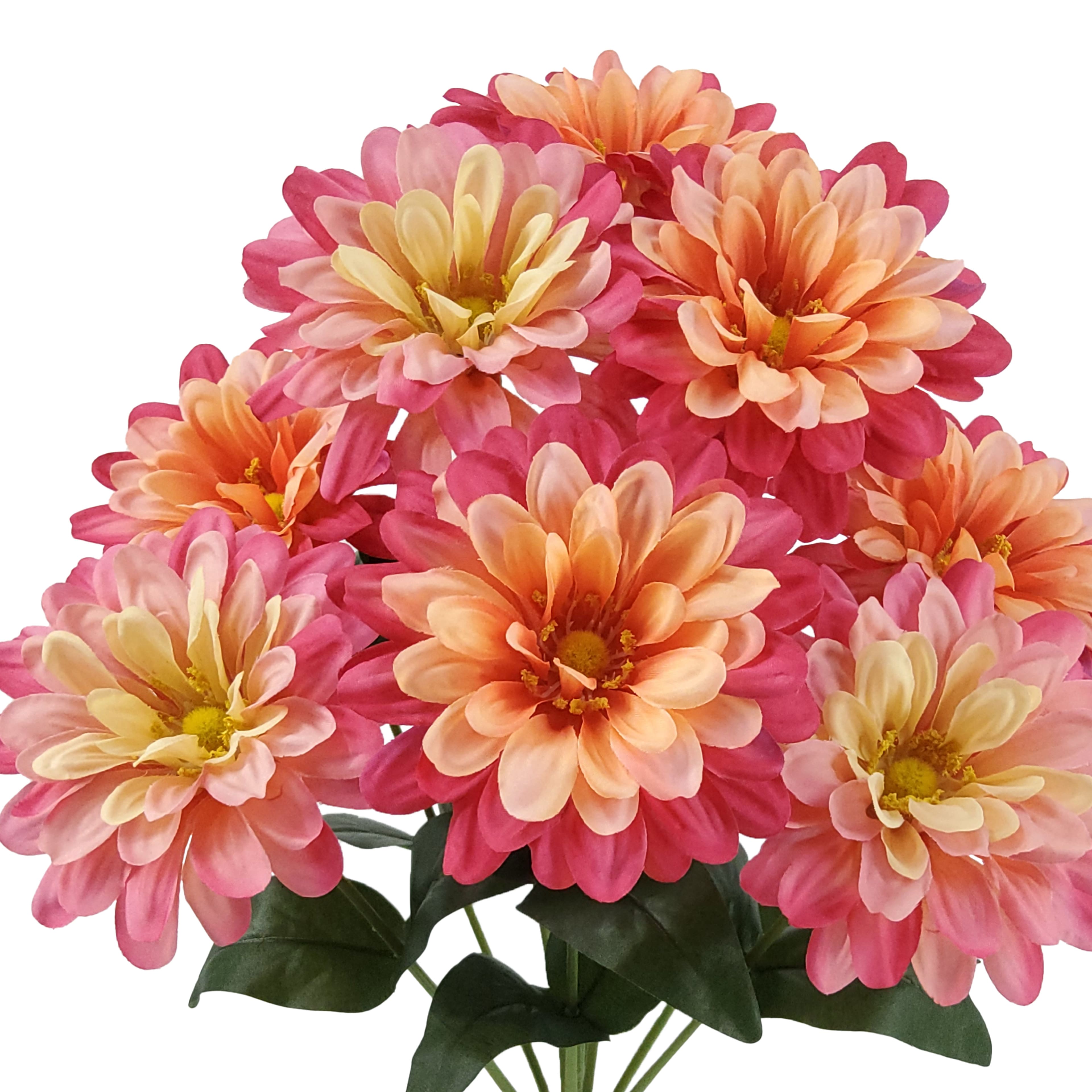 18" Pink Zinnia Bush by Ashland®