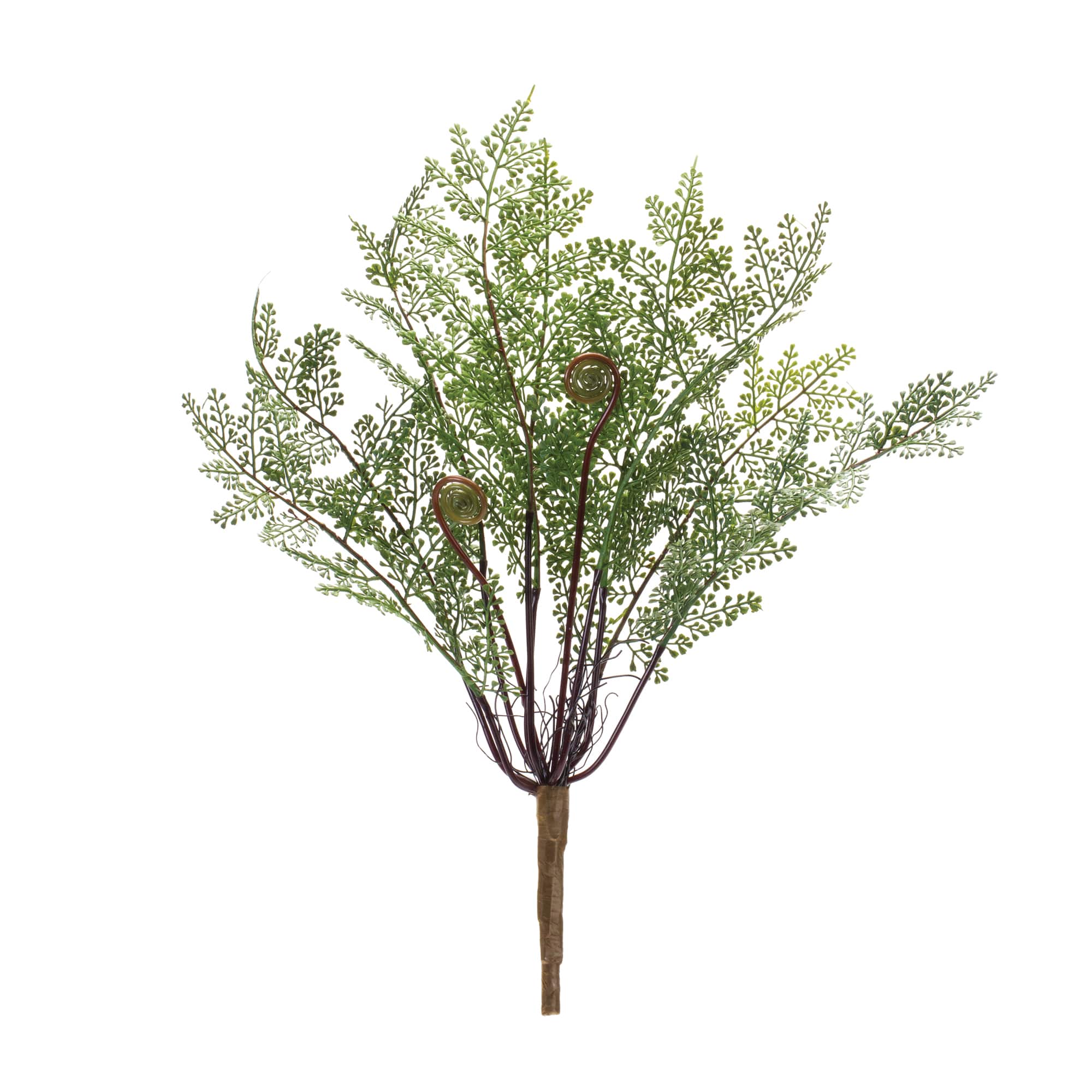 13" Fern Bushes, 2ct.