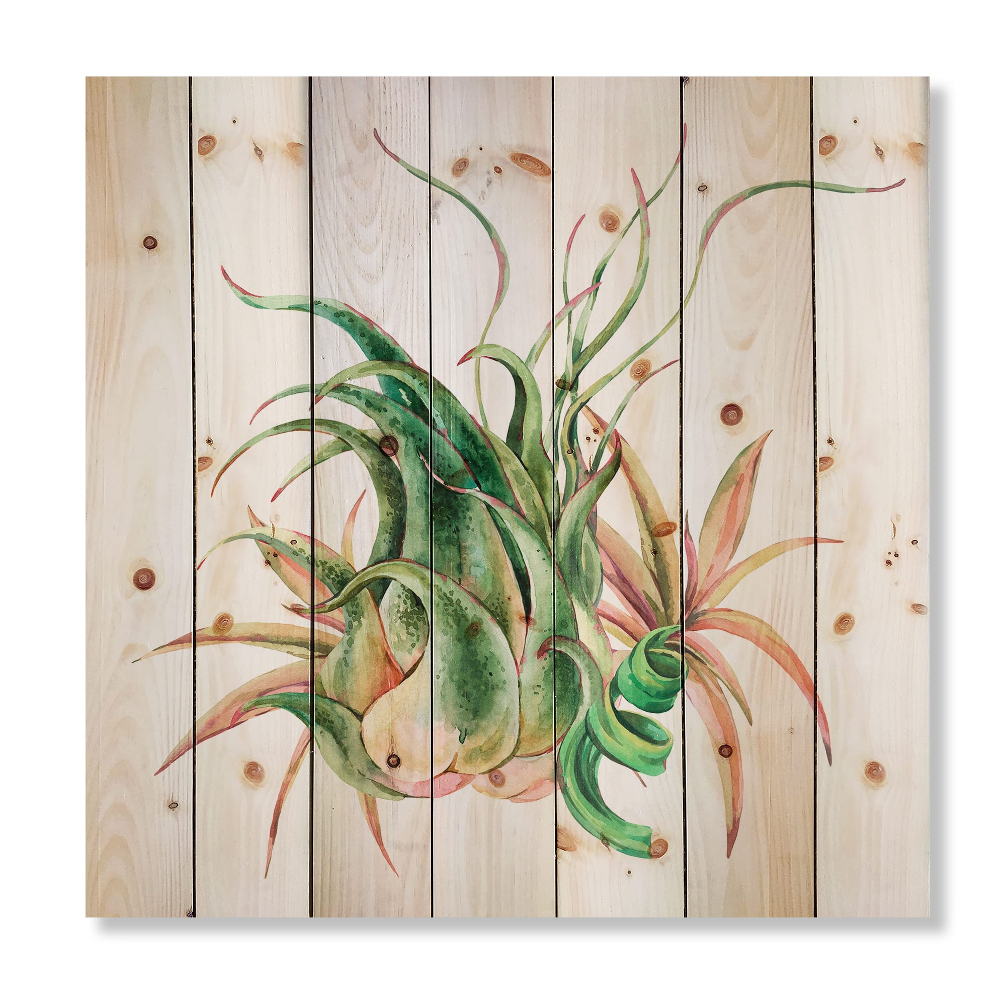 Designart - Tropical Leaves Air Plant Succulent - Farmhouse Print on Natural Pine Wood