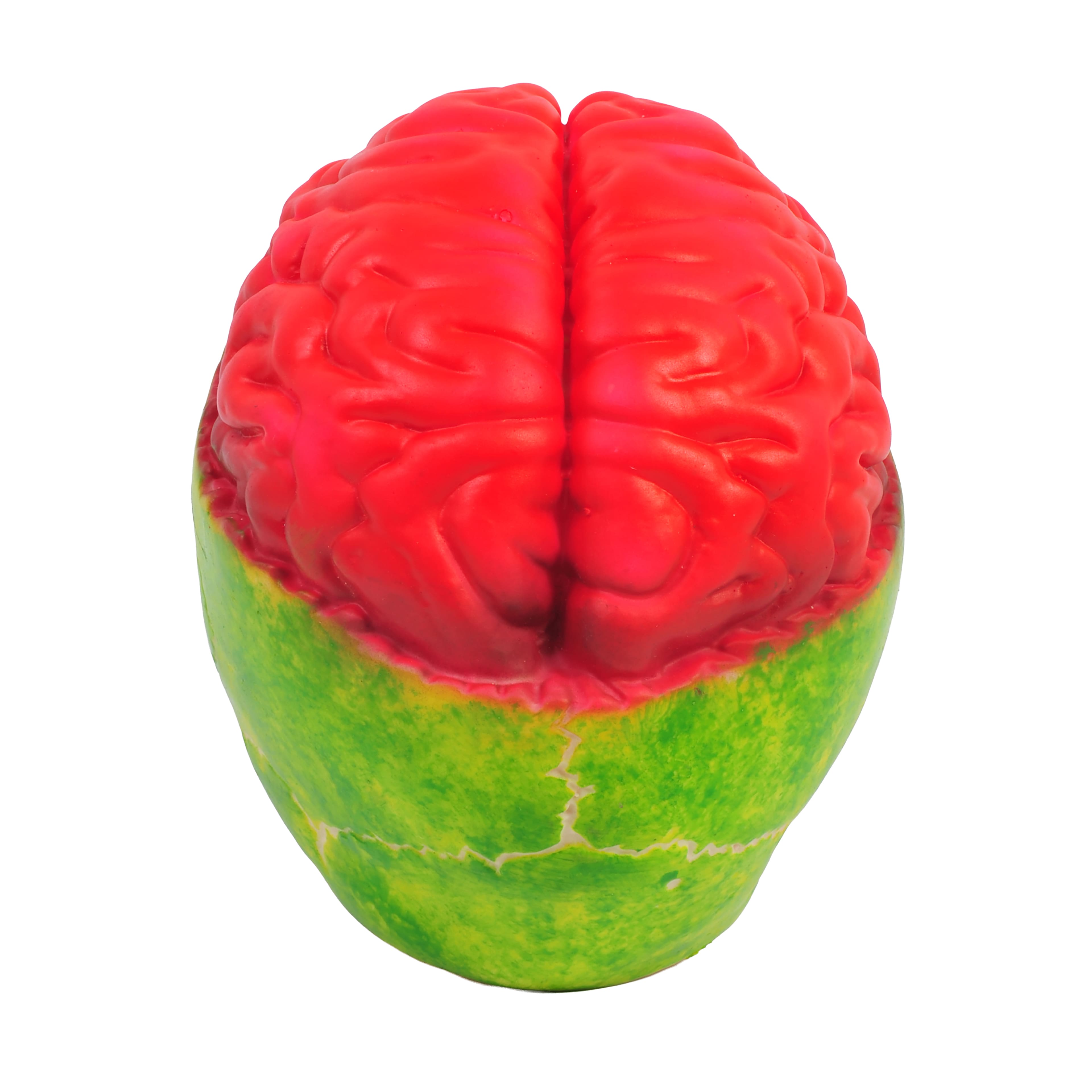 8" Brainy Skull by Ashland®