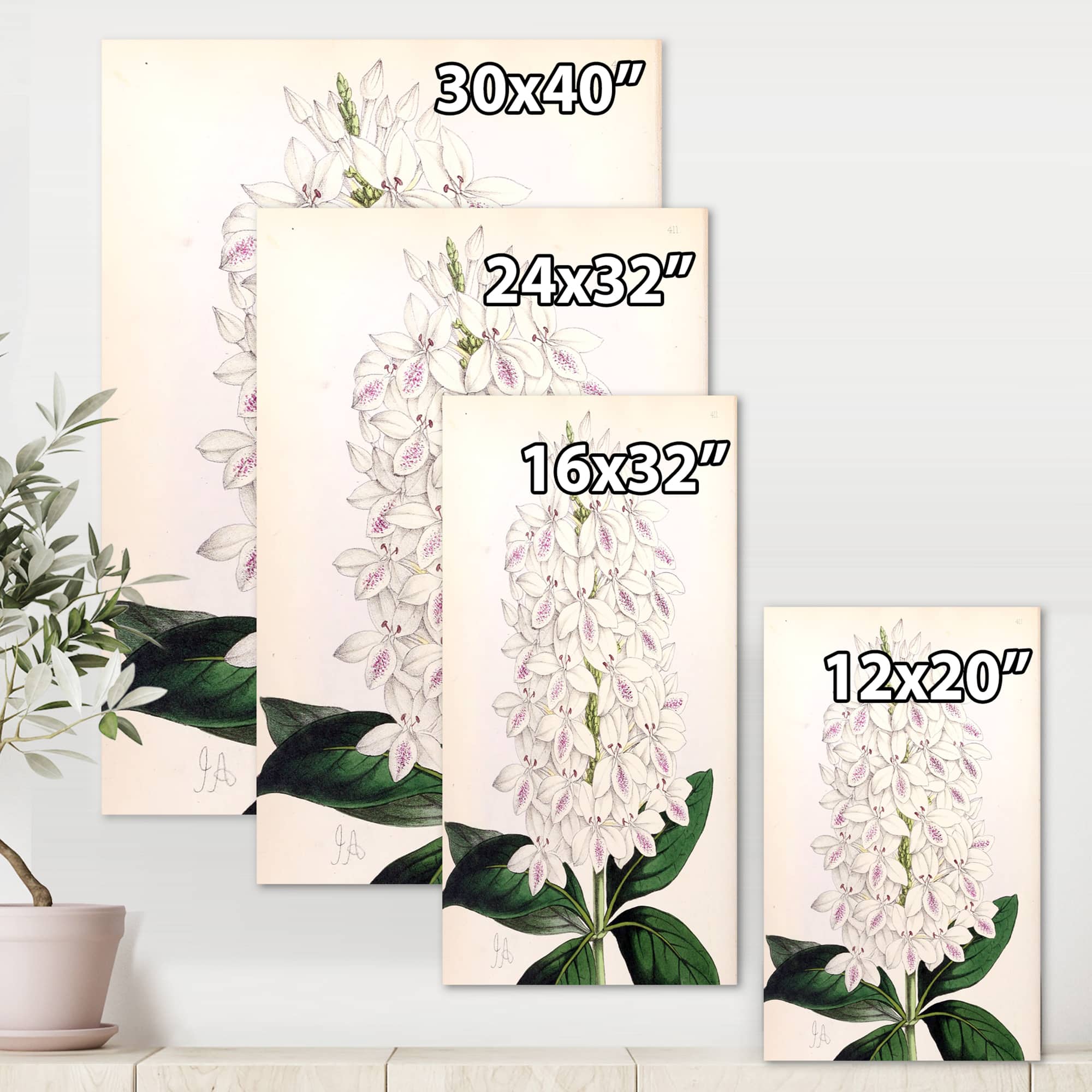 Designart - Vintage White Orchid III - Traditional Canvas Wall Art Print