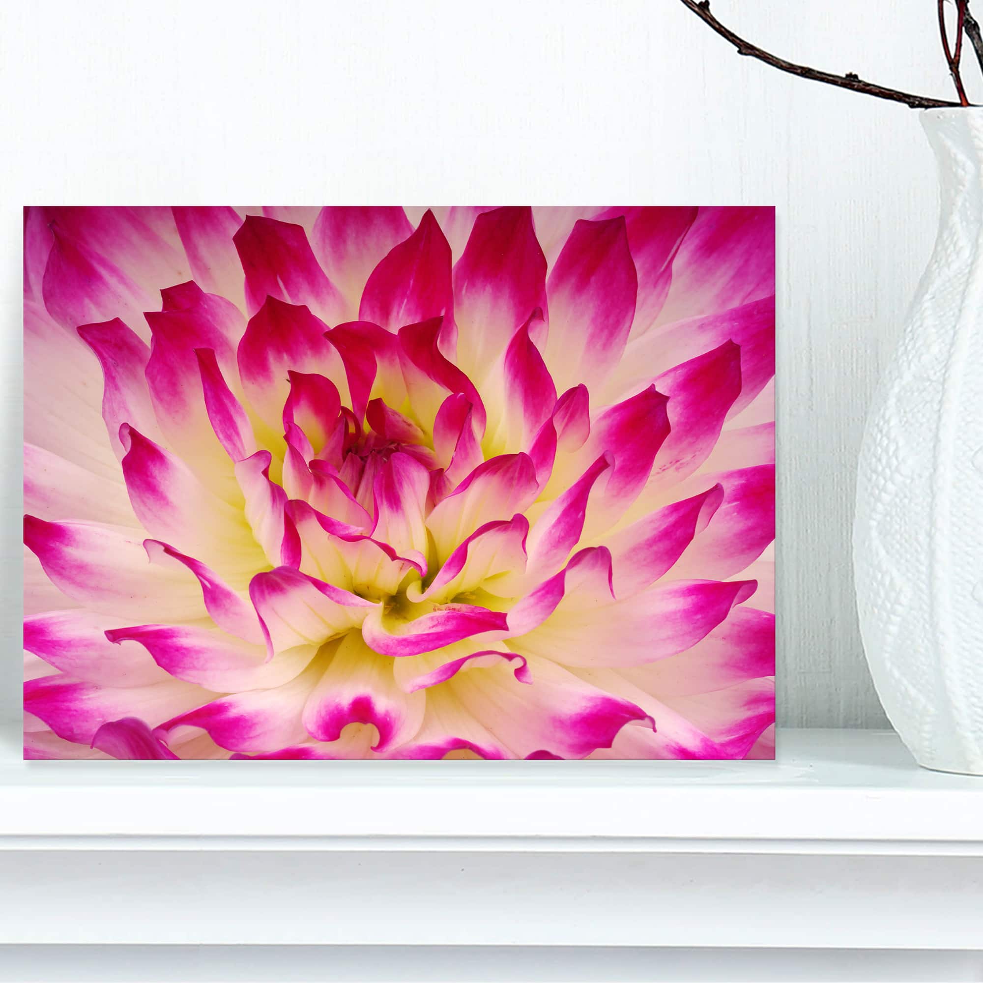 Designart - Smooth Purple White Flower Petals - Floral Canvas Art Print