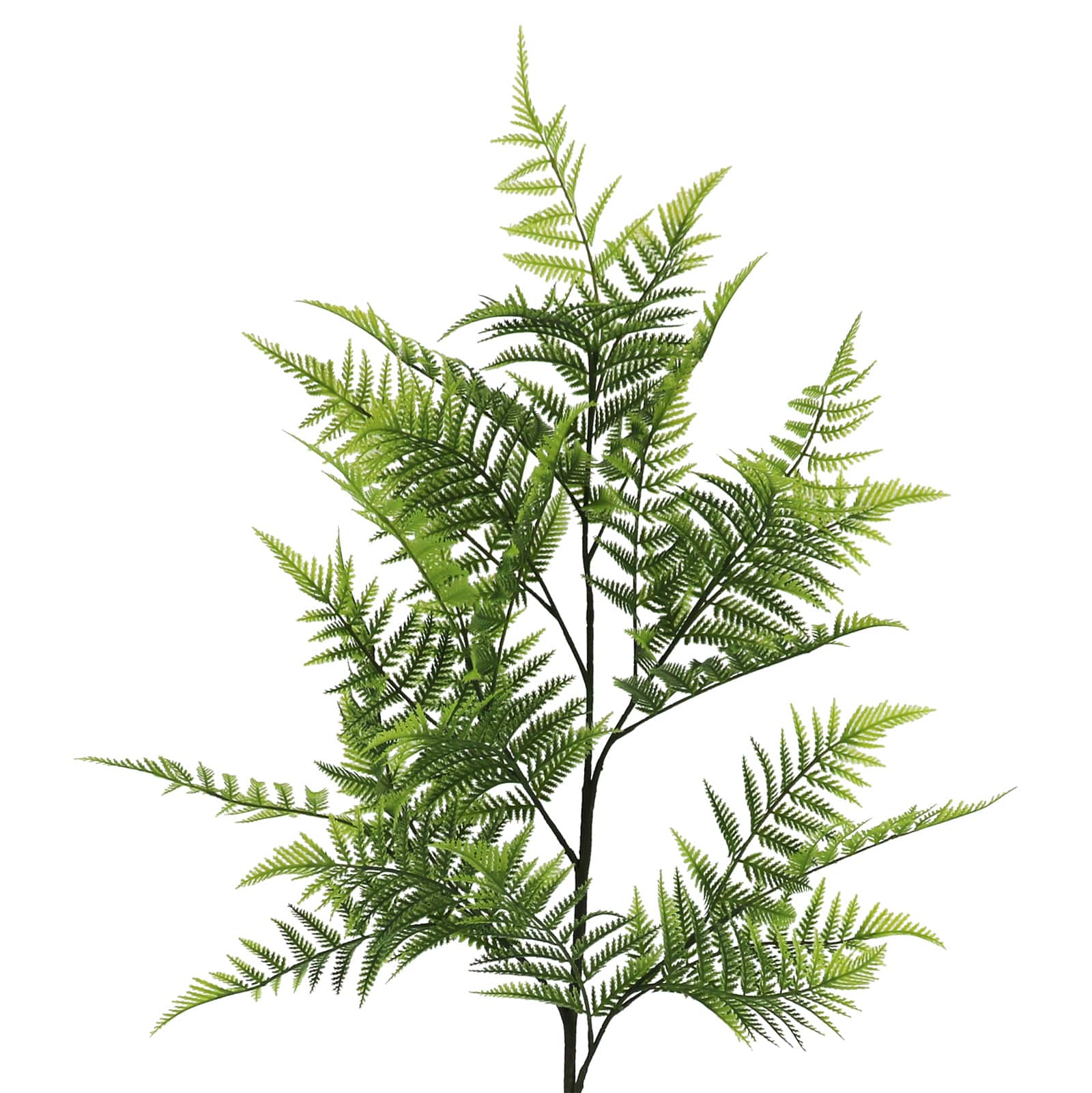50" Green Fern Leaf Stem by Ashland®