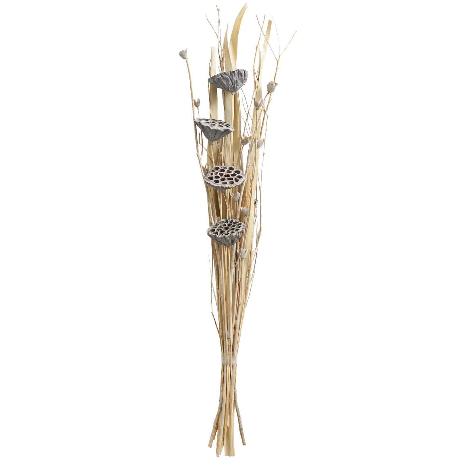 40" Gray Dried Plant Bouquet Lotus Flower Natural Foliage with Grass & Branch Accents