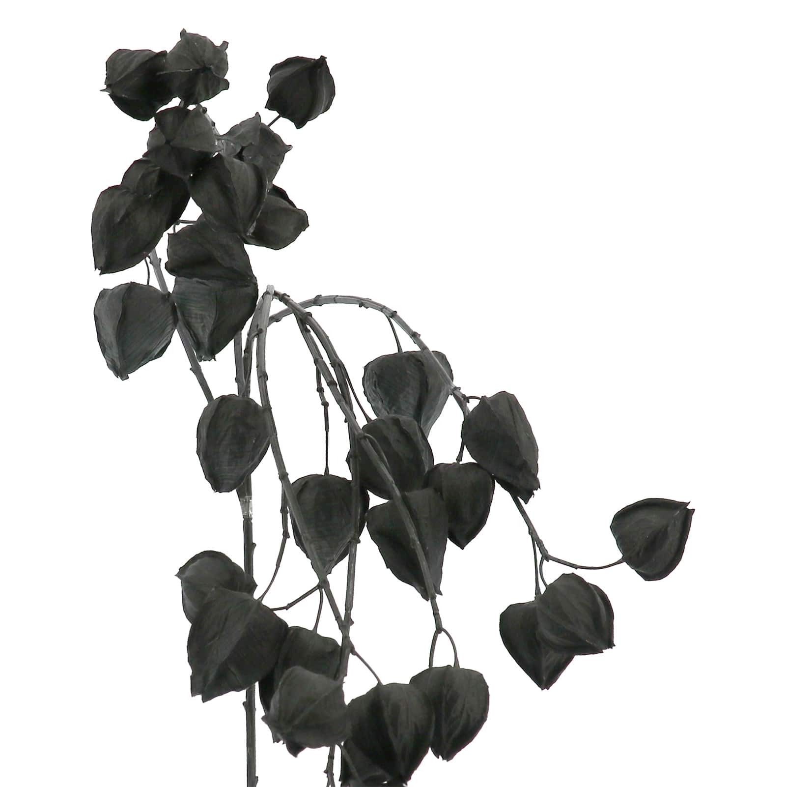 48" Black Lantern Oversized Stem by Ashland®