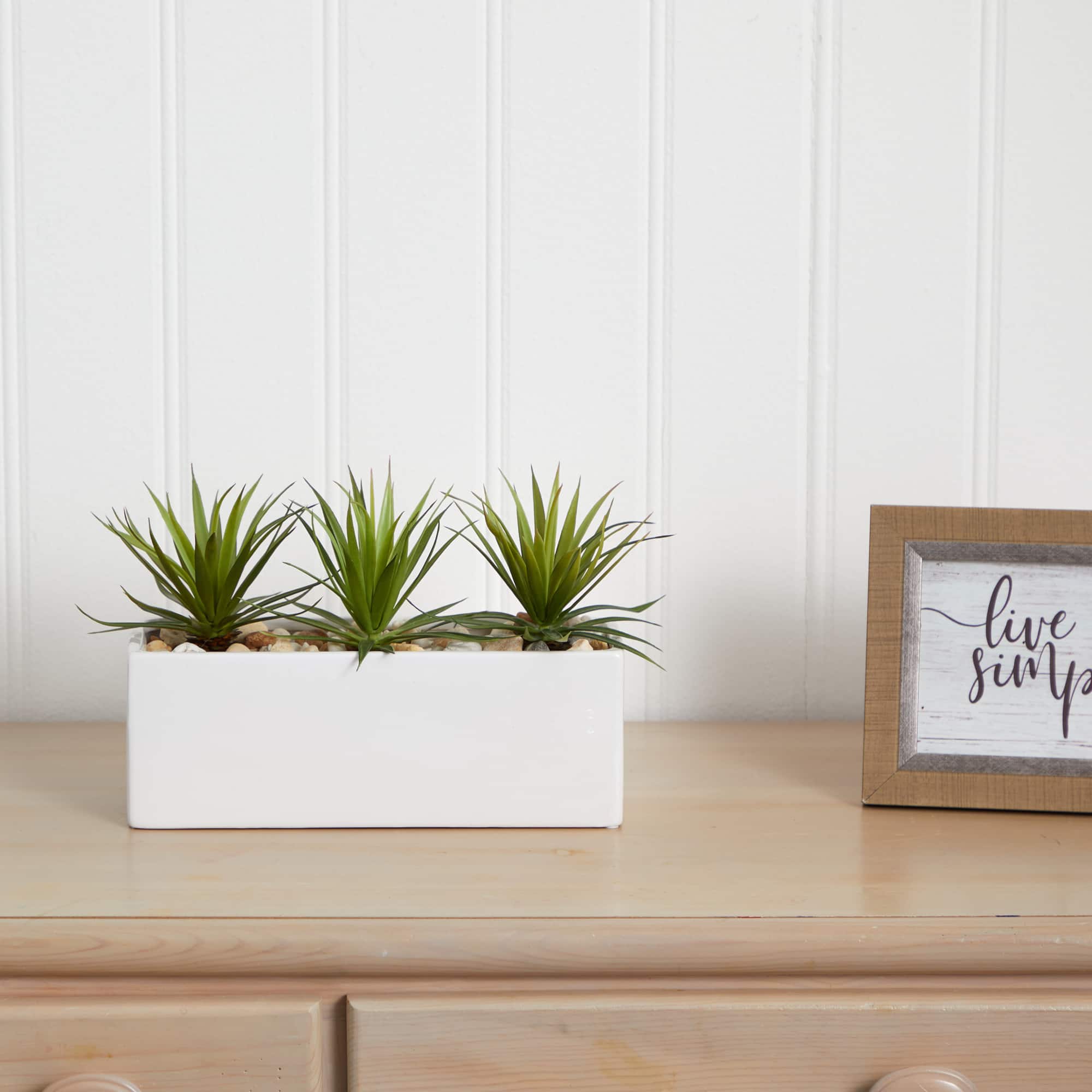 8" Mini Agaves in Rectangular Ceramic Planter