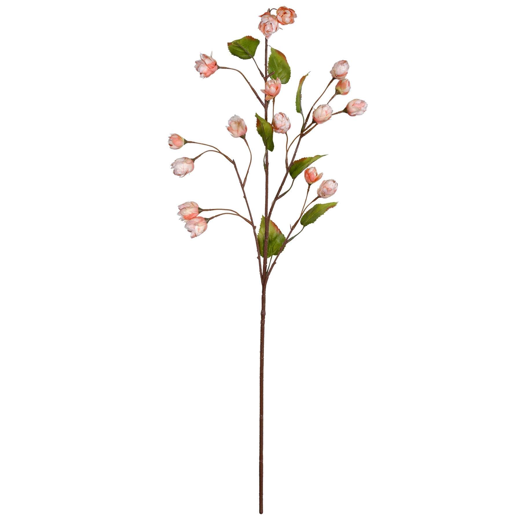 12 Pack: Blush Hops Stem by Ashland®