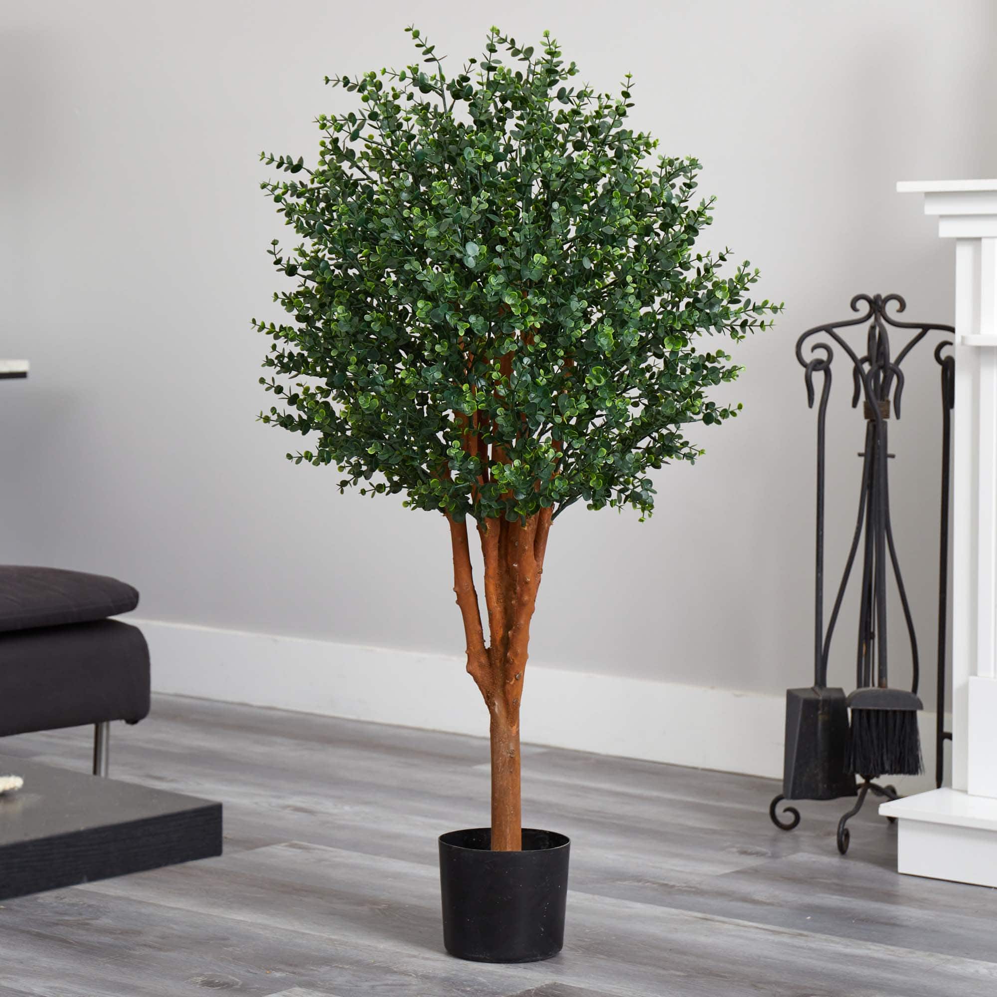 4ft. Potted Eucalyptus Tree