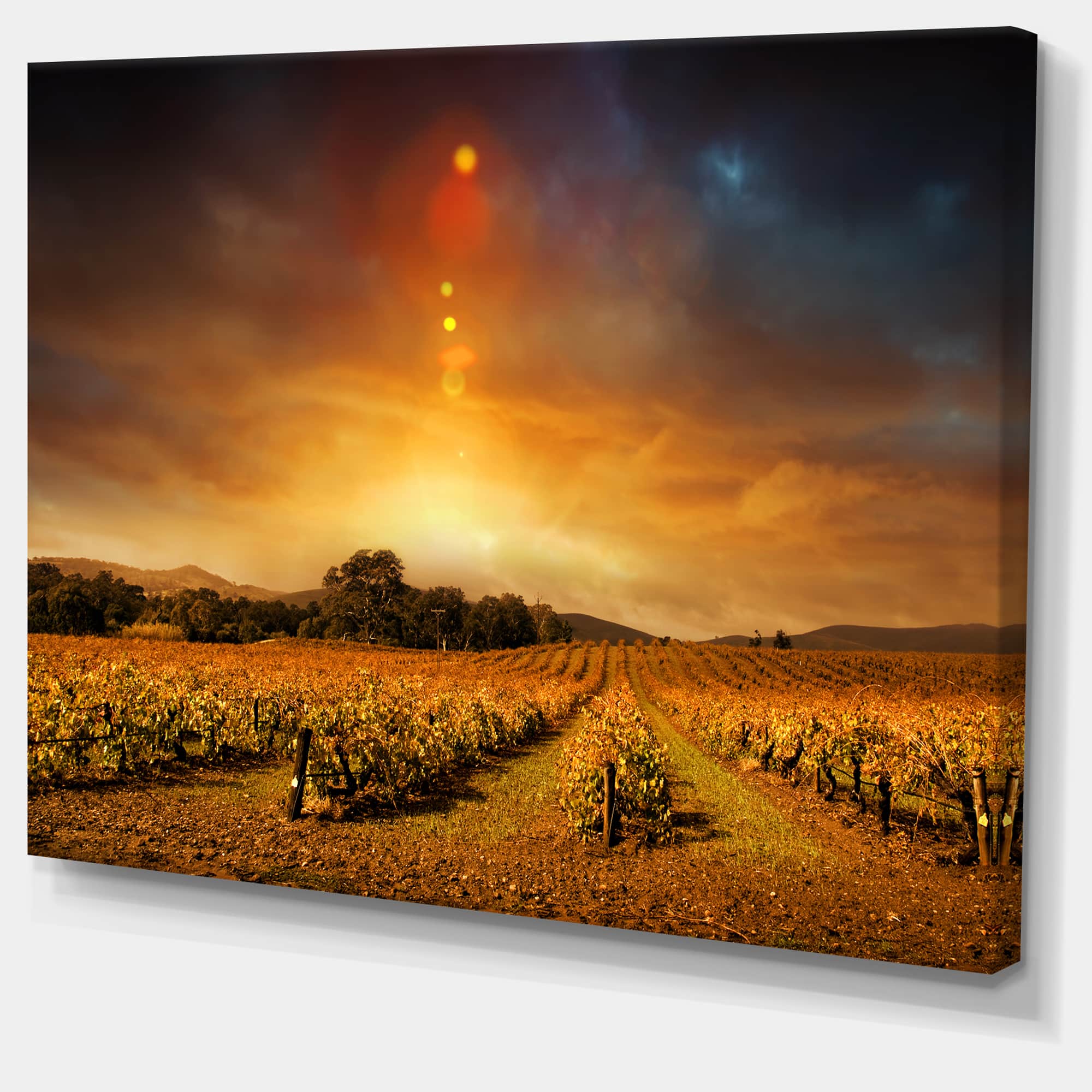 Designart - Yellow Autumn Vineyard Sunset