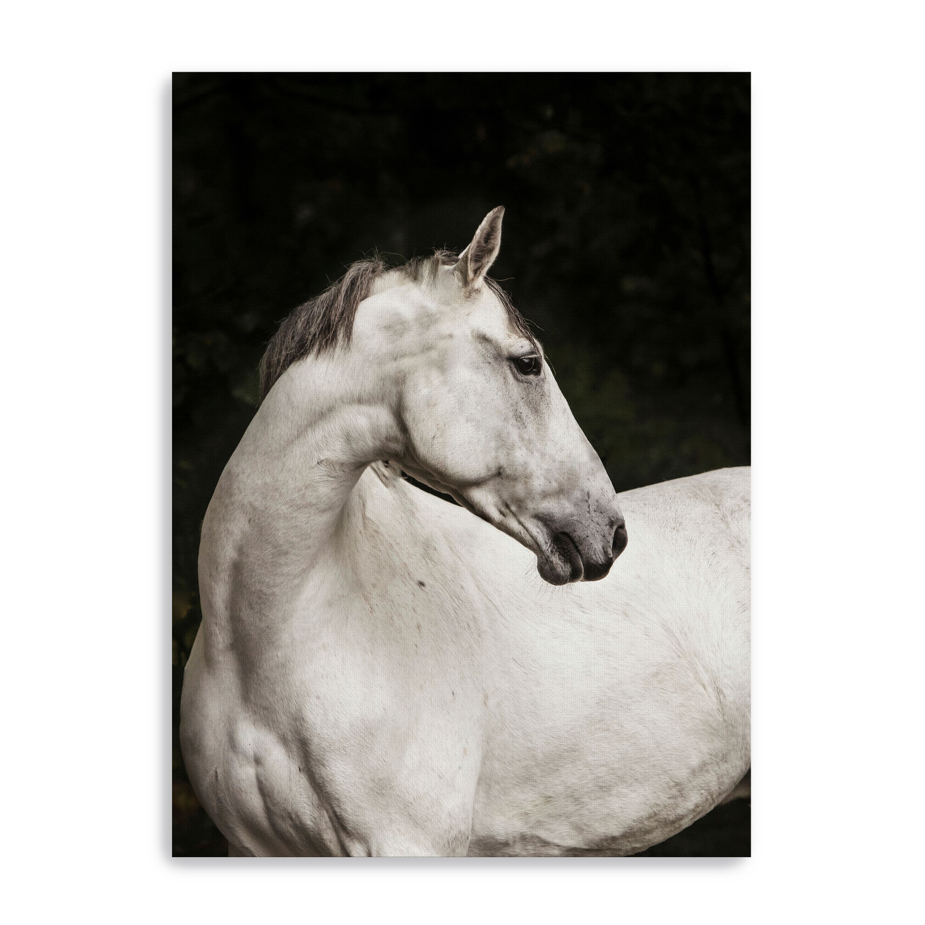 Elegant Canvas Giclee