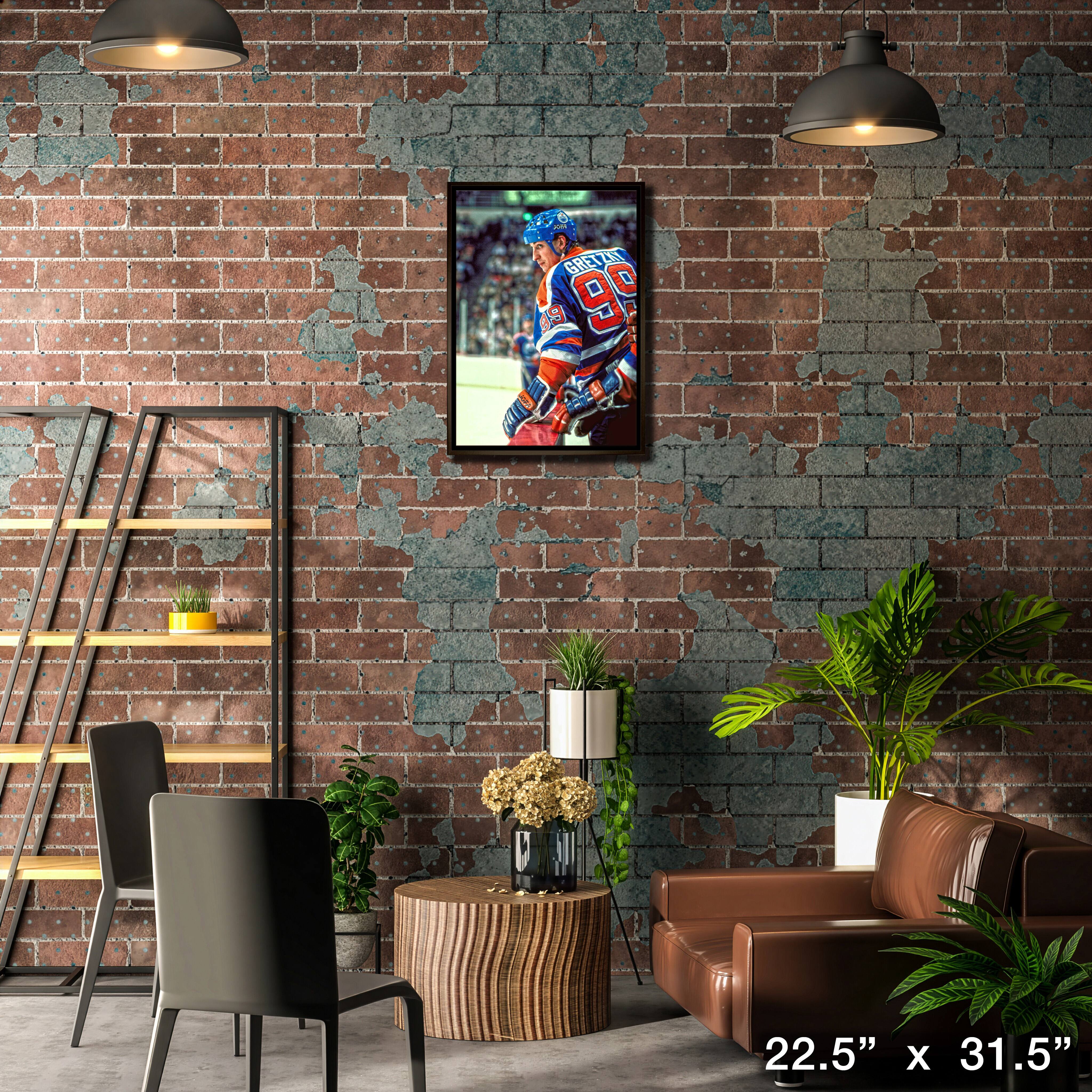 Wayne Gretzky Edmonton Oilers Framed 20" x 29" Jumping Over Bench Canvas 22.5" x 31.5"