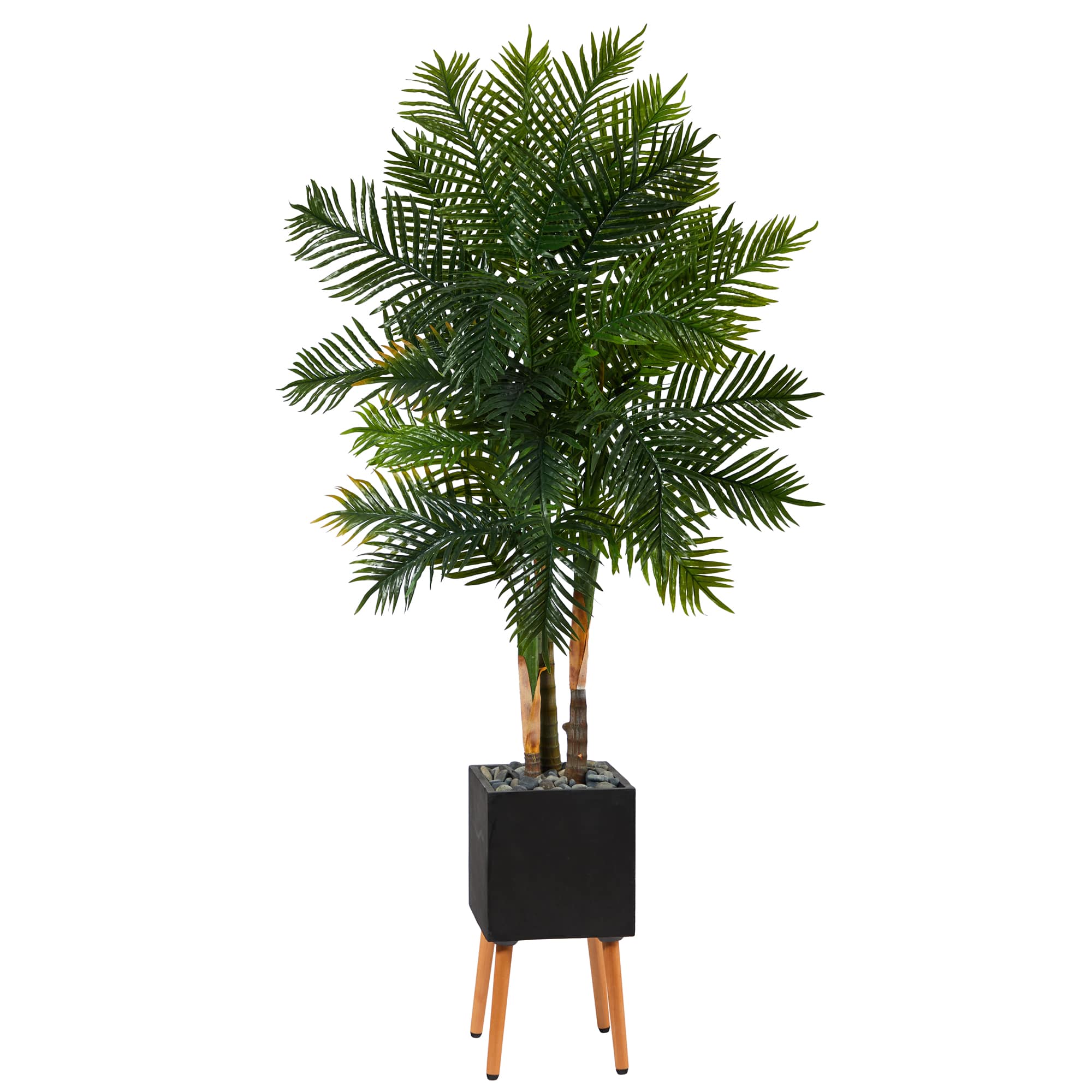 70" Areca Palm Tree in Black Planter with Stand