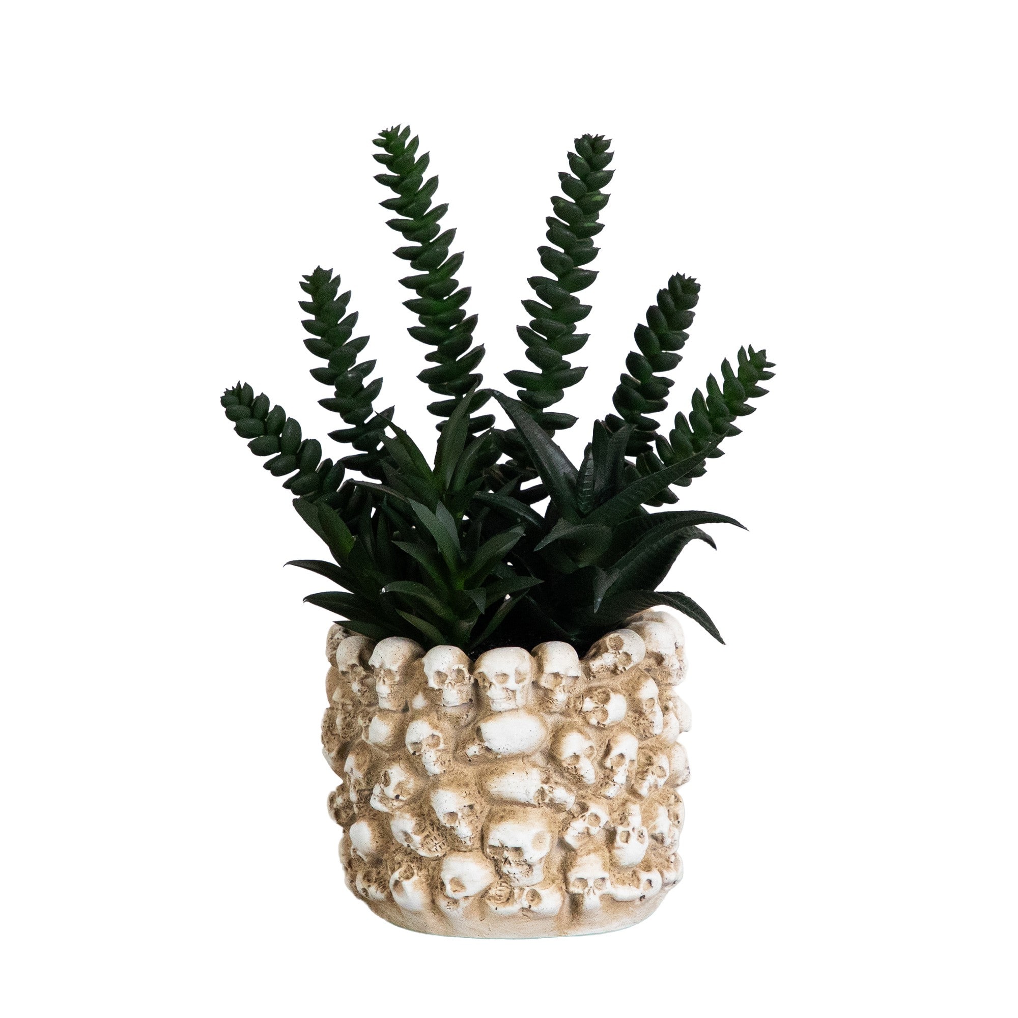 9" Artificial Halloween Succulent Garden in Gothic Skull Planter By Nearly Natural in Black | 6" x 6" x 9" | Michaels®