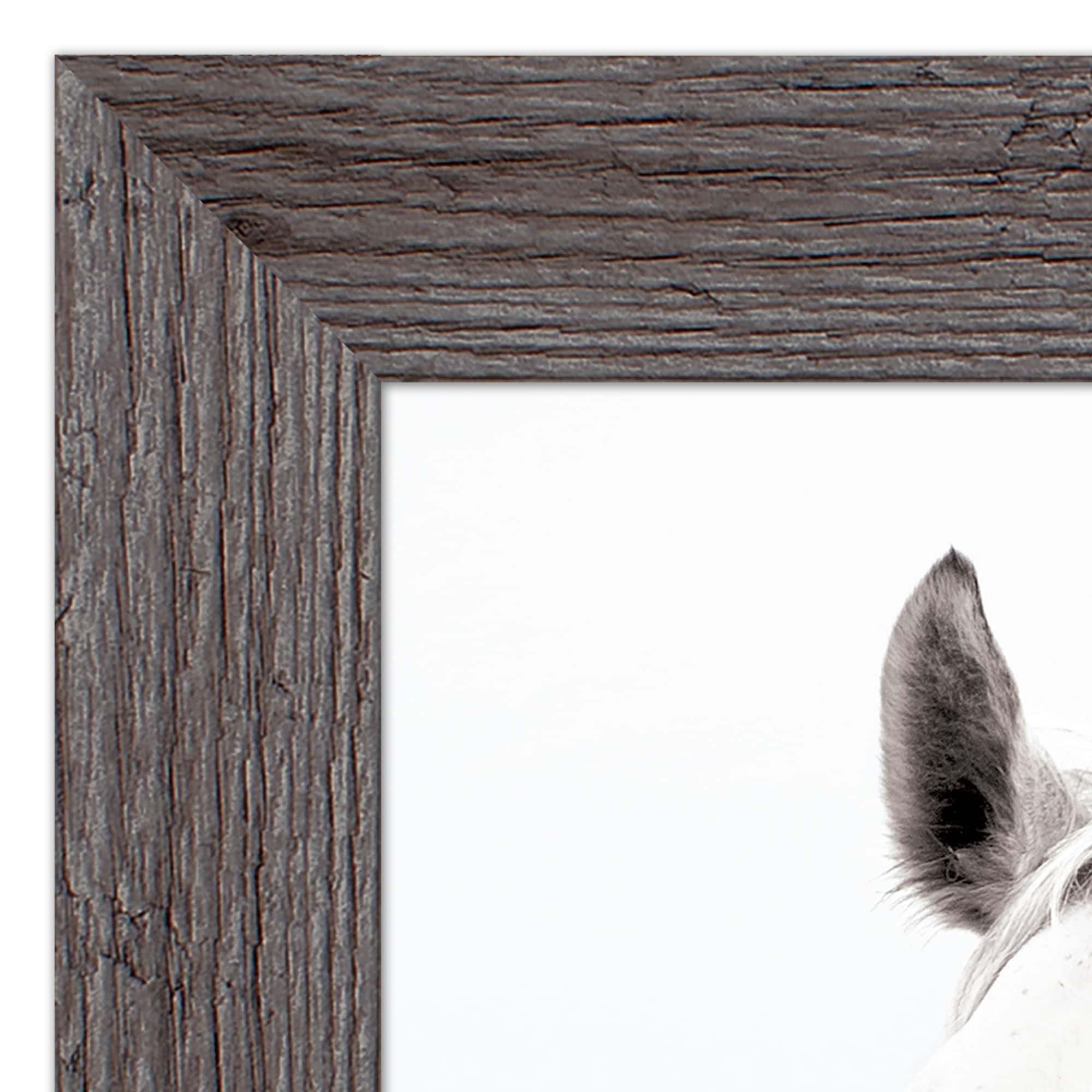 White Horse Western Framed Print