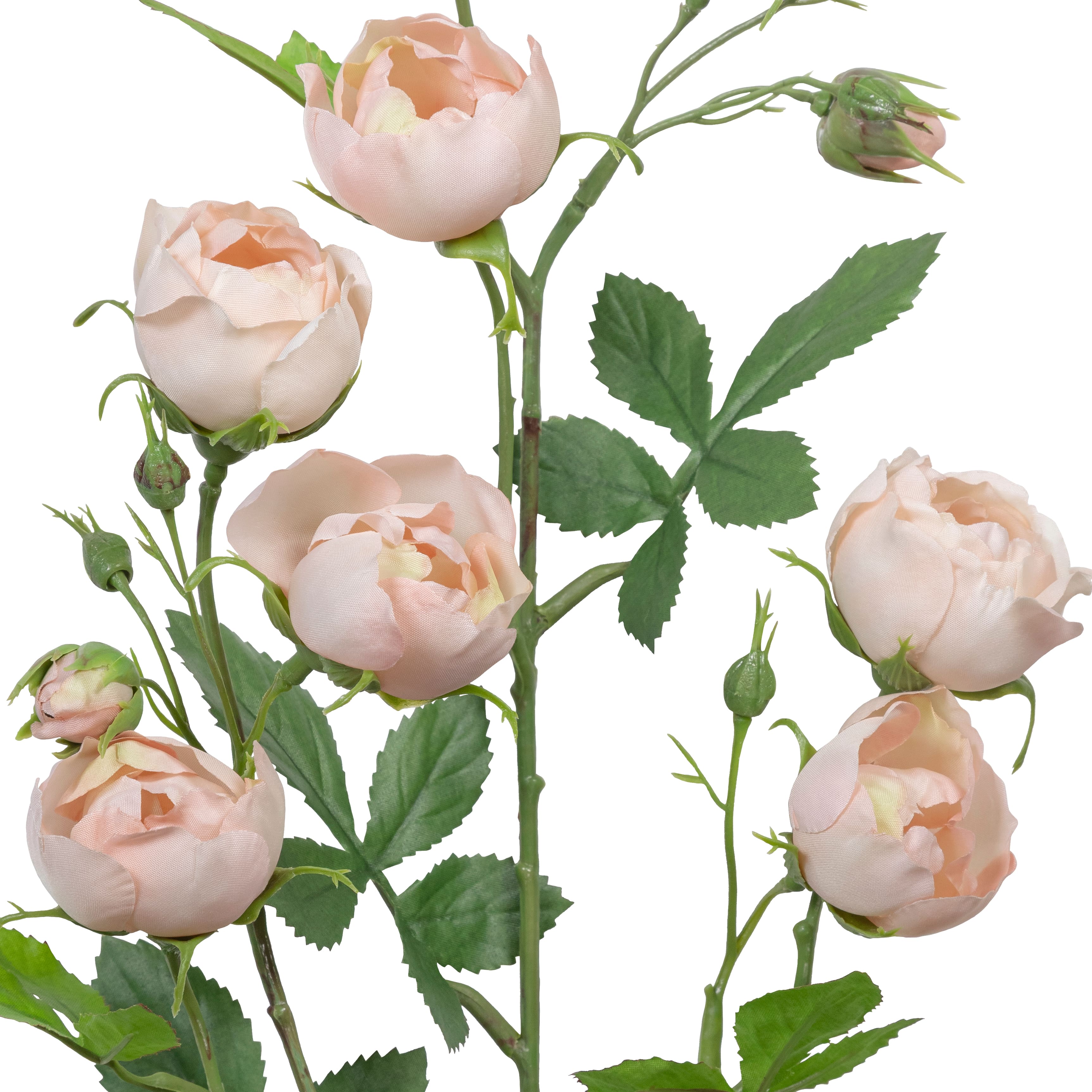 31" Cabbage Rose Spray by Ashland