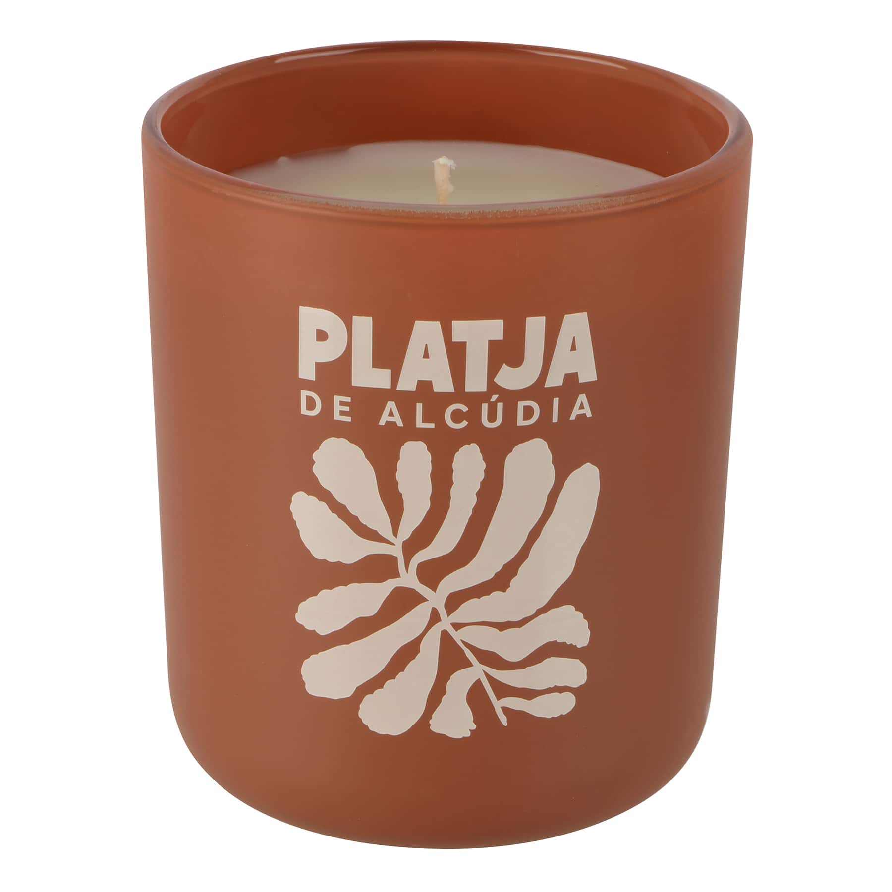 10oz. Scented Candle in Gift Box by Ashland®