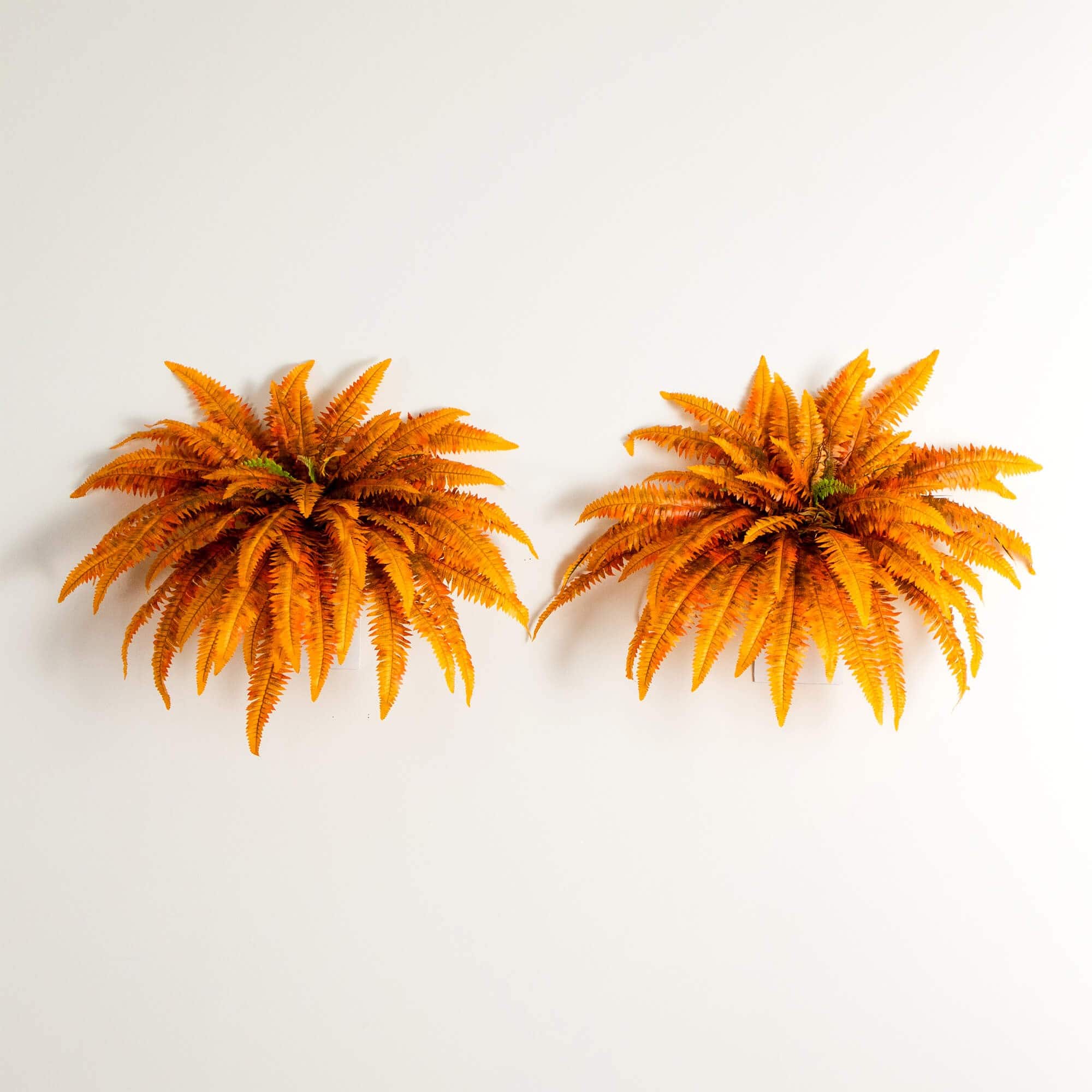 48in. Autumn Artificial Fall Boston Fern - Set of 2