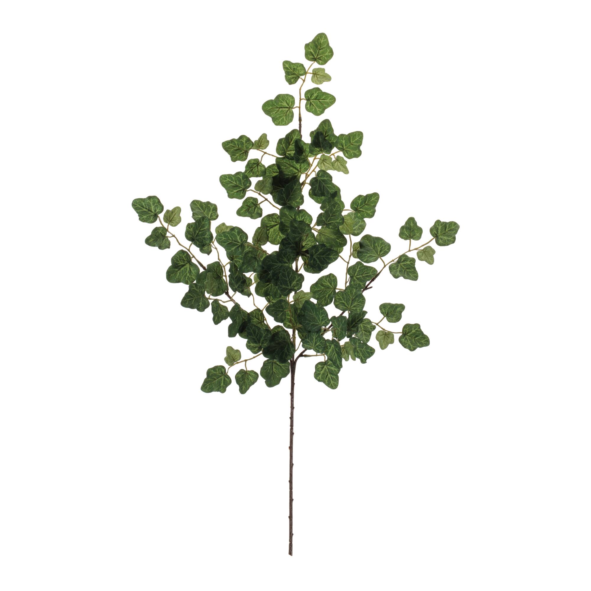 24.75" Green Ivy Foliage Sprays, 6ct.