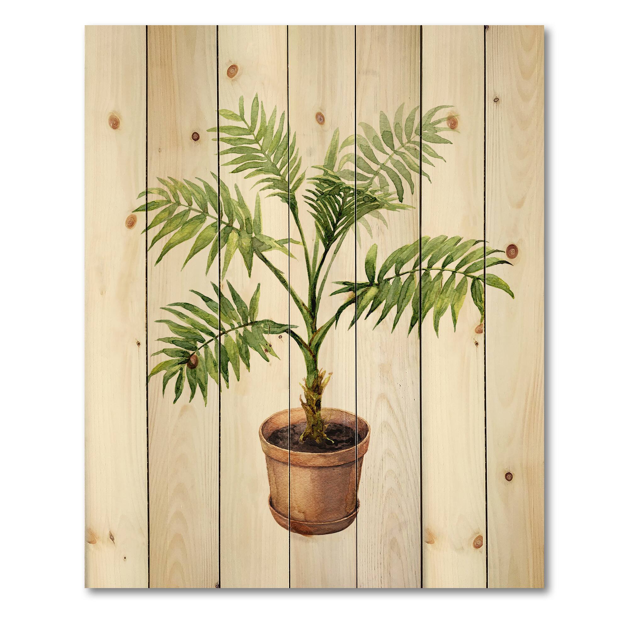 Designart - Palm In Clay Flowerpot - Traditional Print on Natural Pine Wood