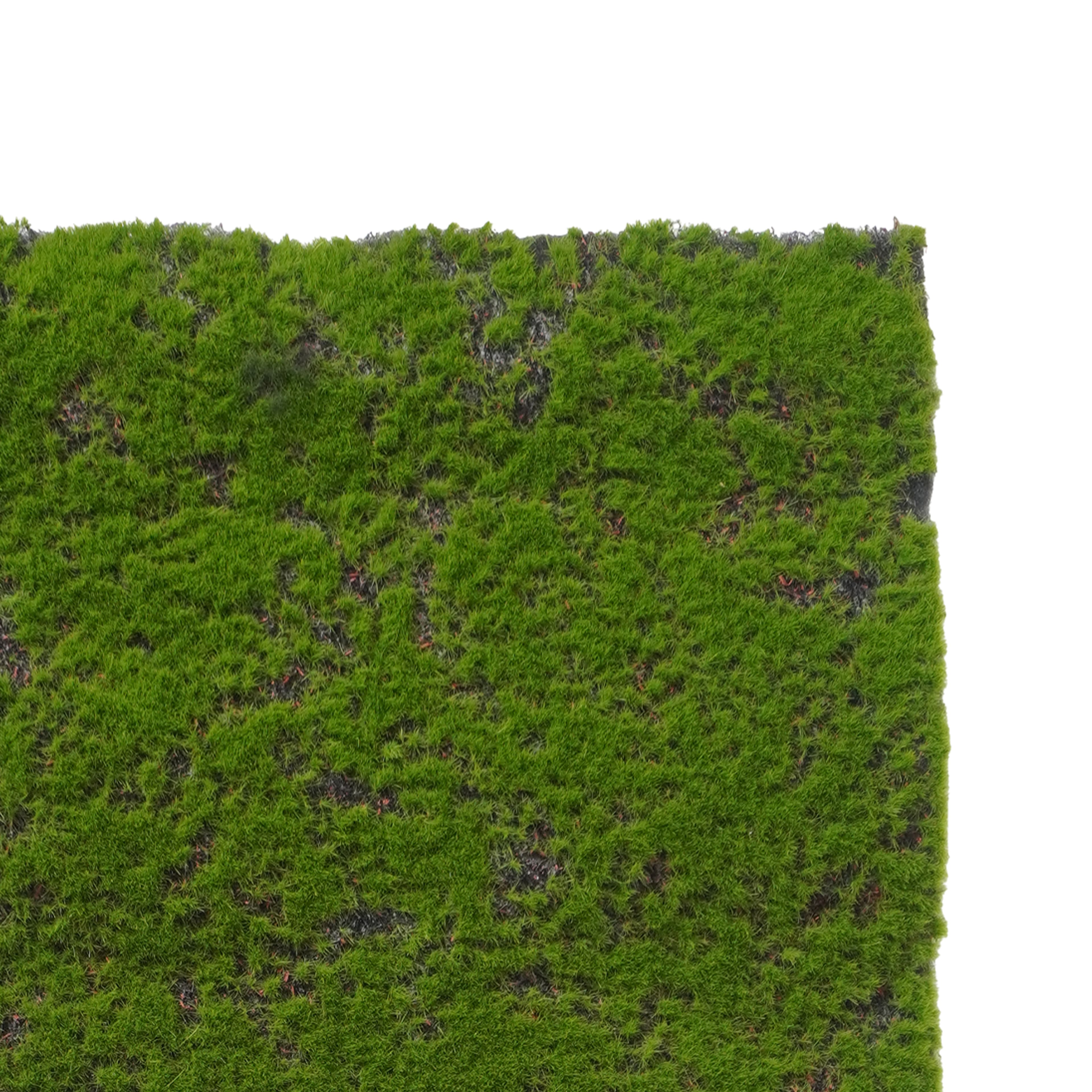 6 Pack: 12" x 23.5" Faux Moss Mat by Ashland®