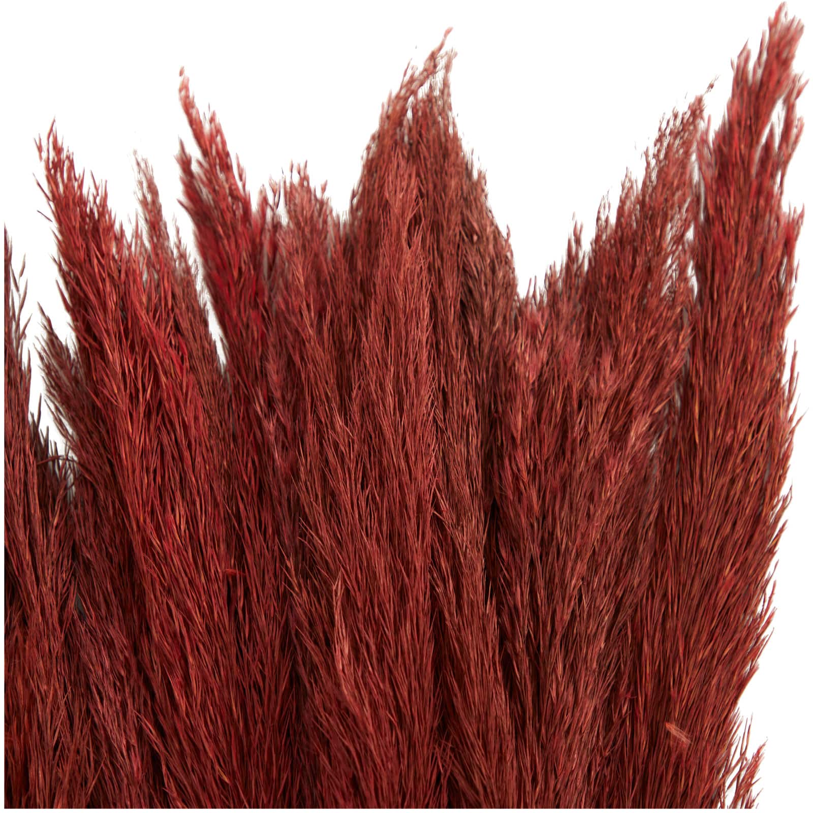 Dried Plant Bamboo Natural Foliage with Long Stems