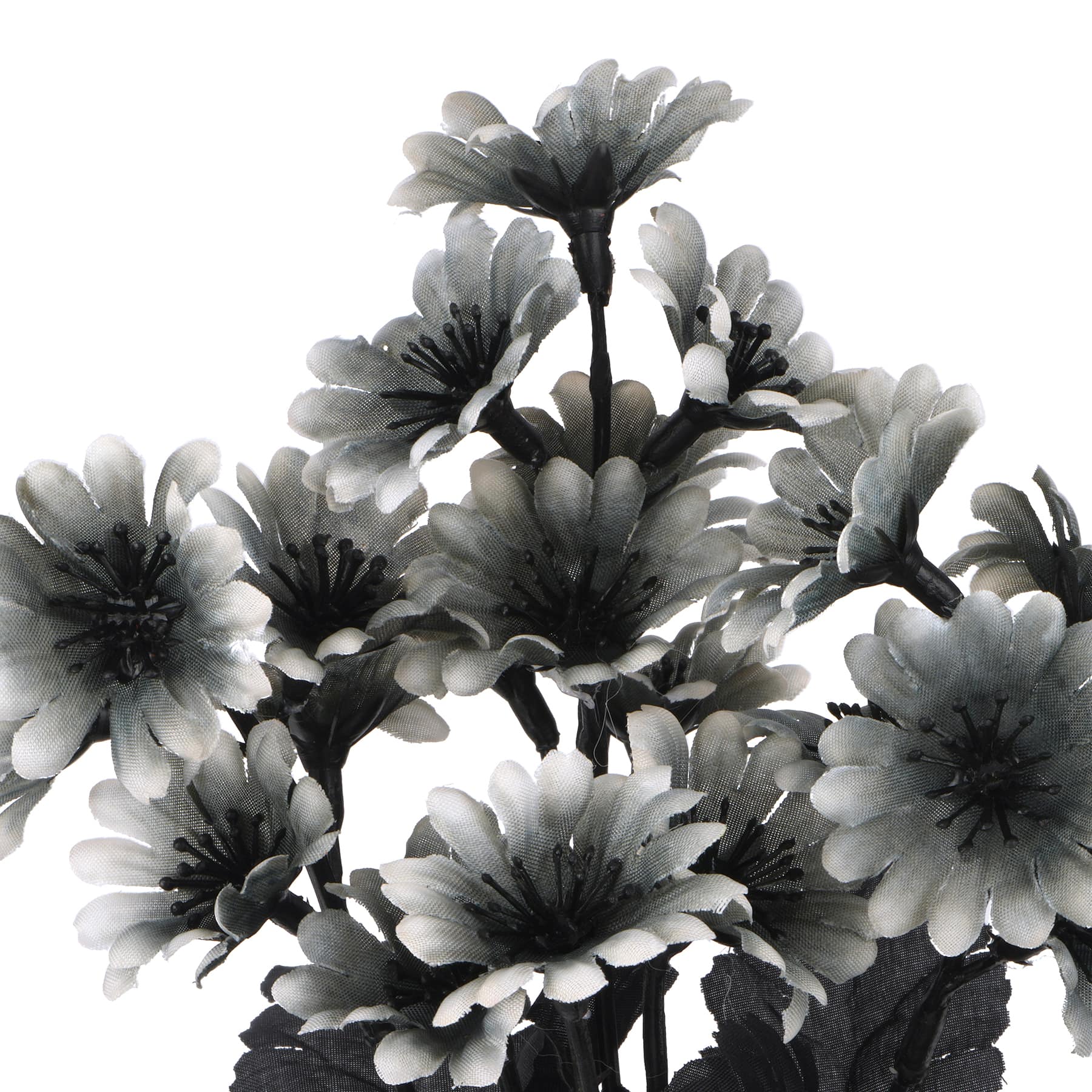 12" Black & Cream Mini Daisy Bush by Ashland®