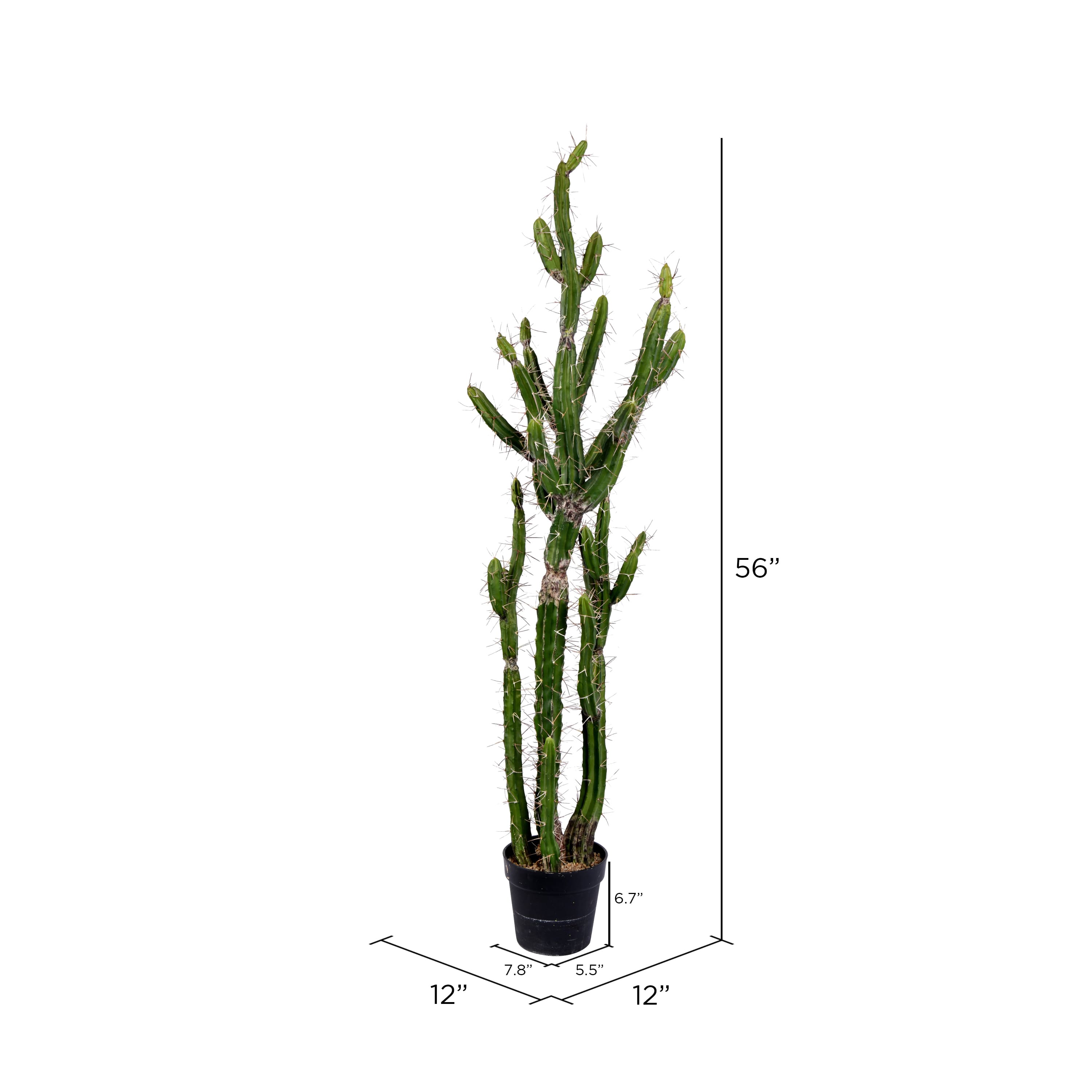 5ft. Potted Green Cactus
