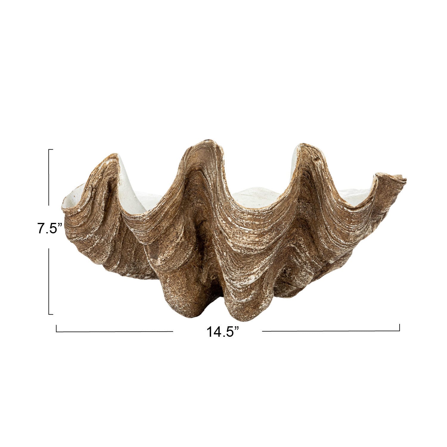 Hello Honey® 14.25" Decorative Clam Wall Bowl