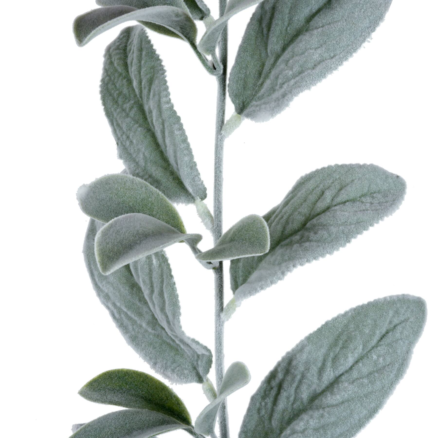 4 Pack: 6ft. Lamb's Ear Garland by Ashland®