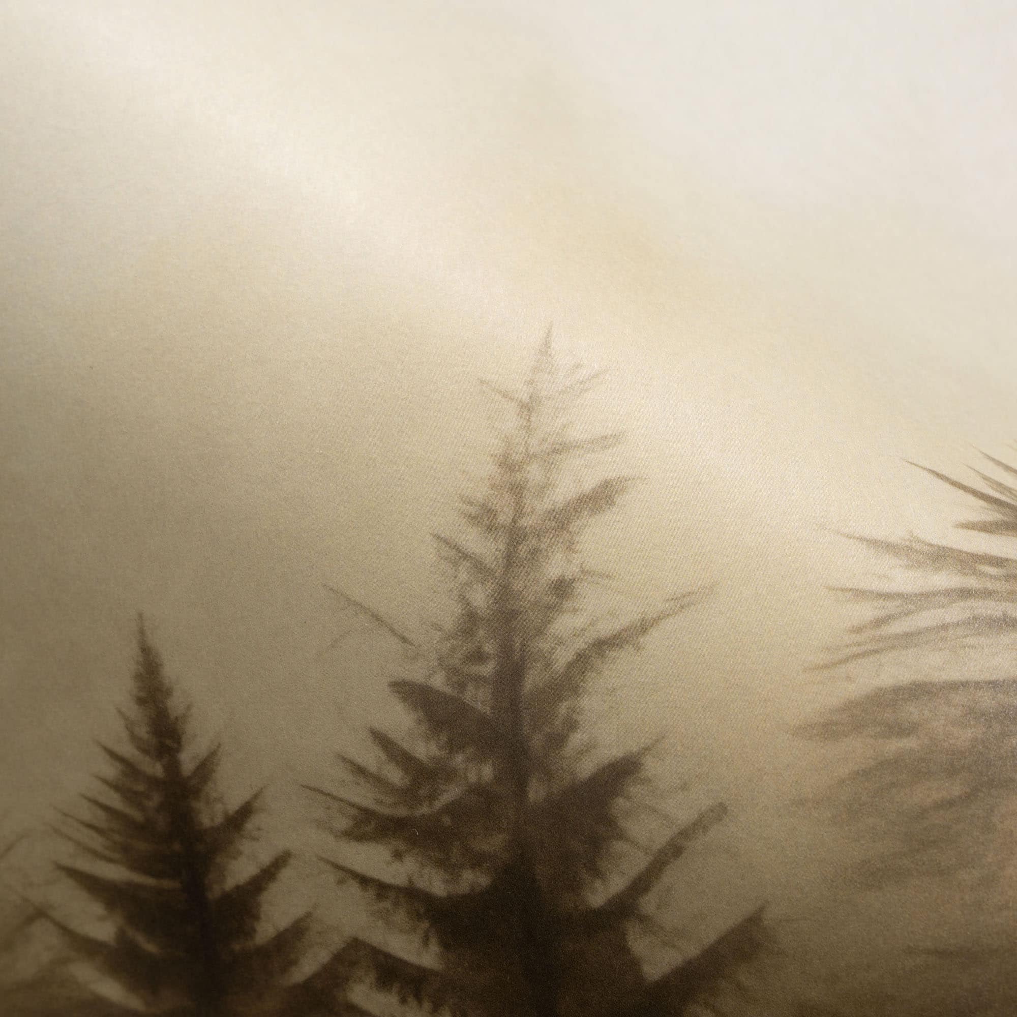 Designs Direct Silent Woods Wall Mural