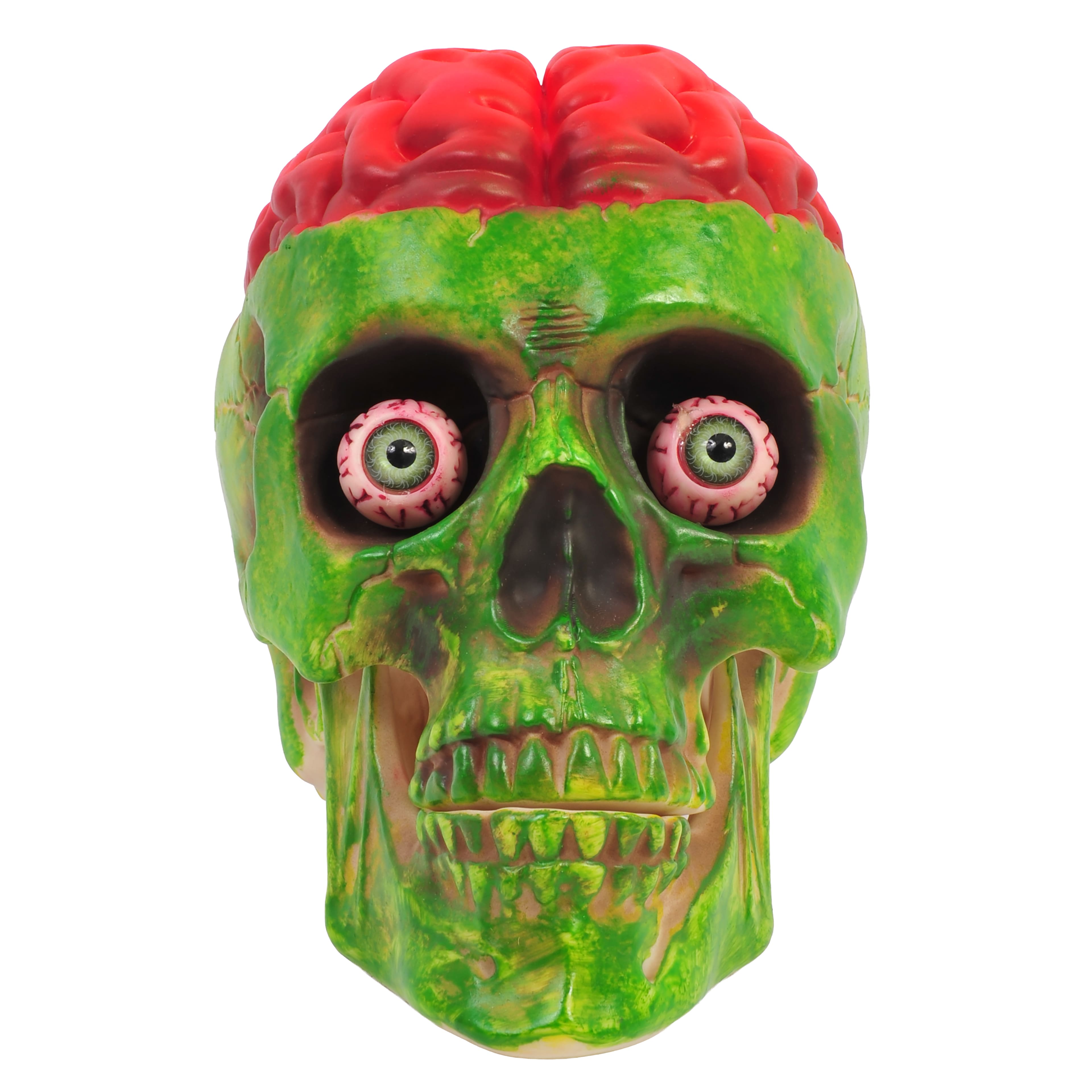 8" Brainy Skull by Ashland®