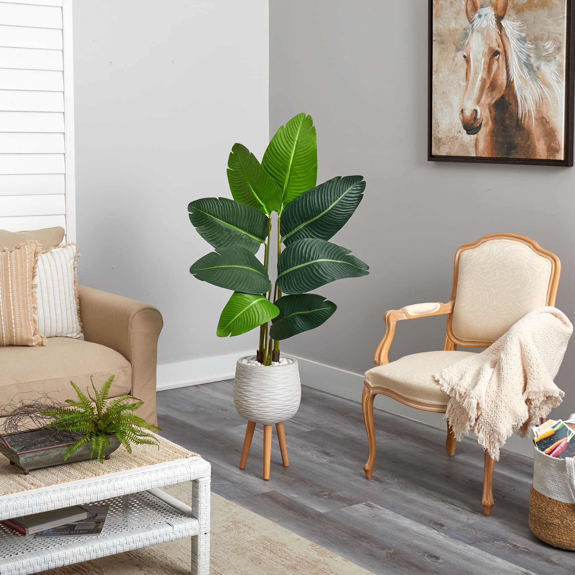 5ft. Travelers Palm Artificial Tree in White Planter with Stand