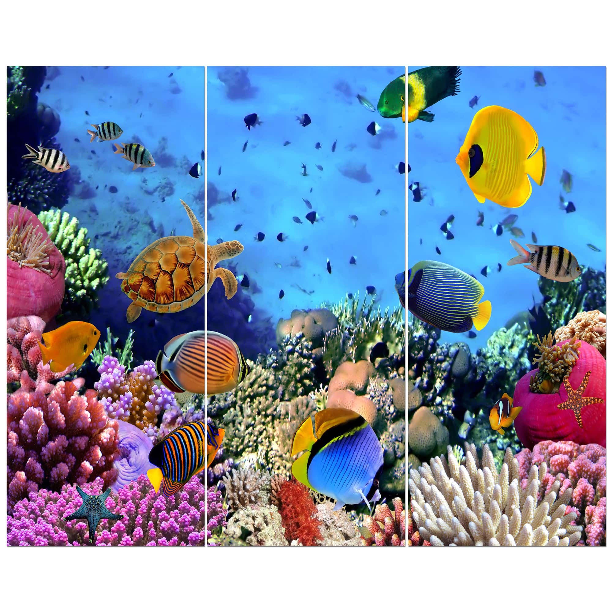Designart - Coral Reef Coral Colony