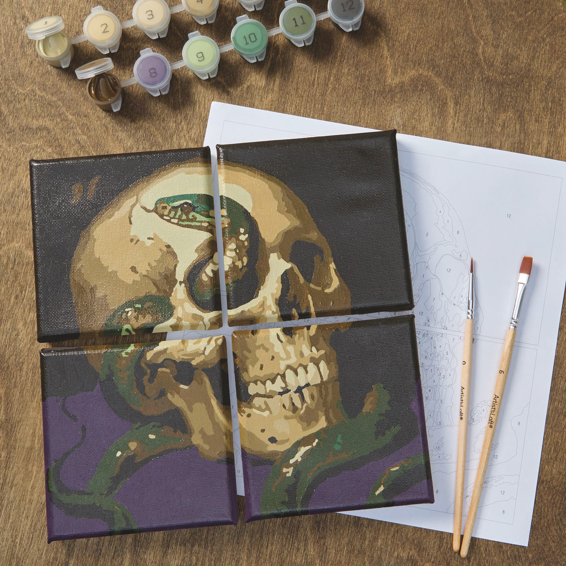 Skull & Snake Paint-by-Number Gallery Mini Kit by Artist's Loft®