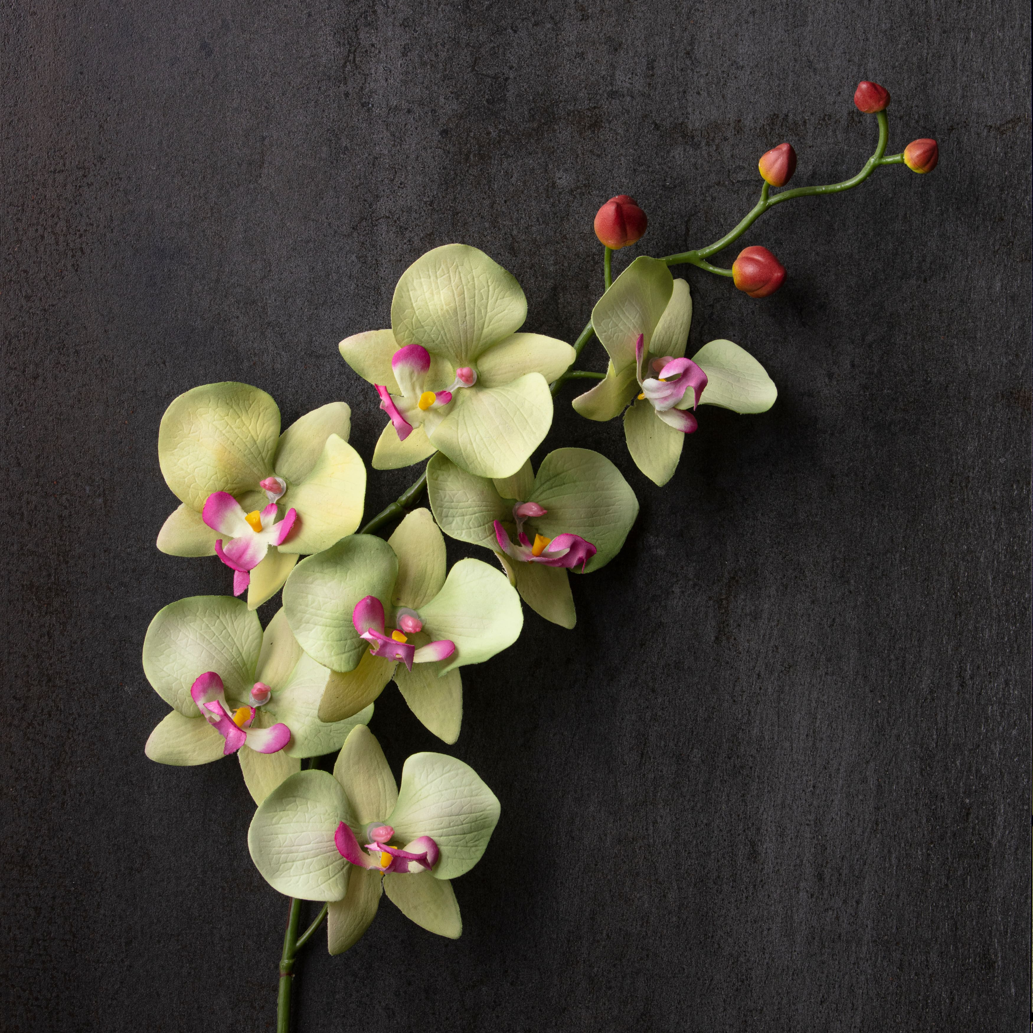 12 Pack: Green & Pink Orchid Spray by Ashland®