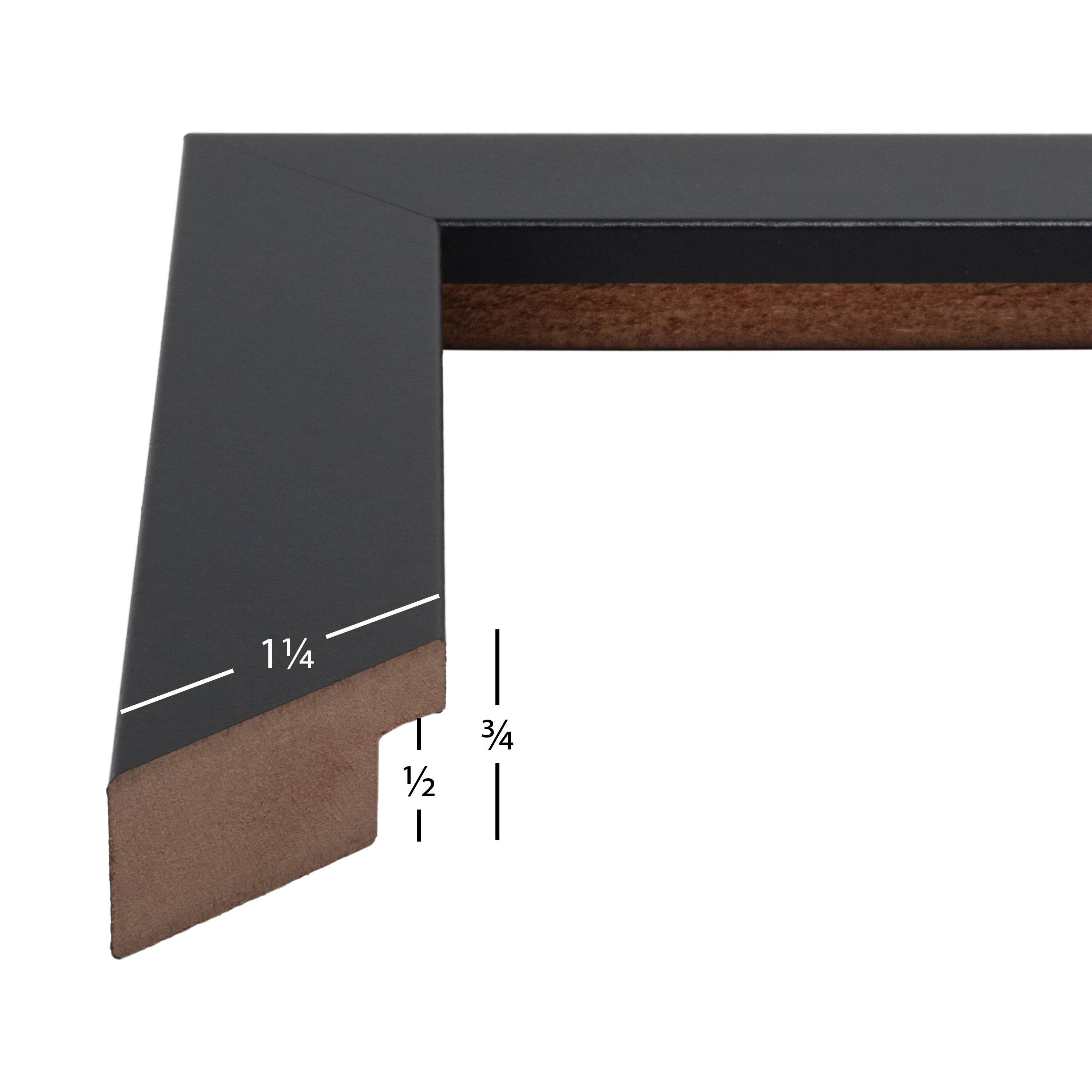 Craig Frames Bauhaus Mystic Satin Black Picture Frame with Mat