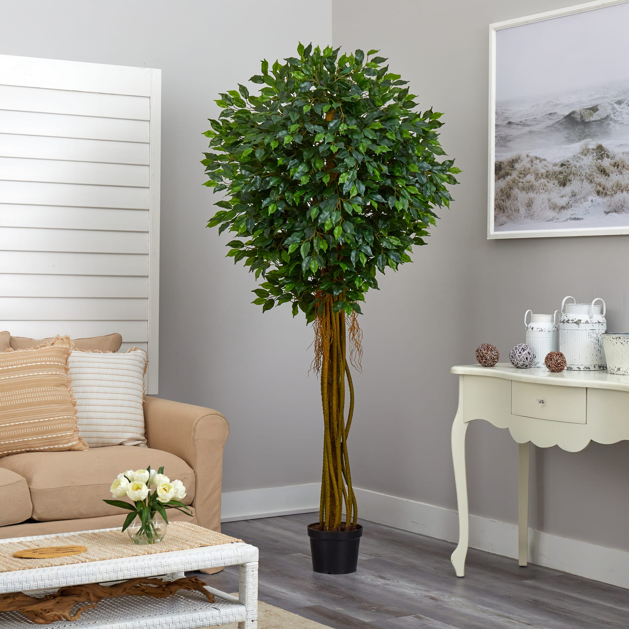 7.5ft. Potted UV Resistant Ficus Tree