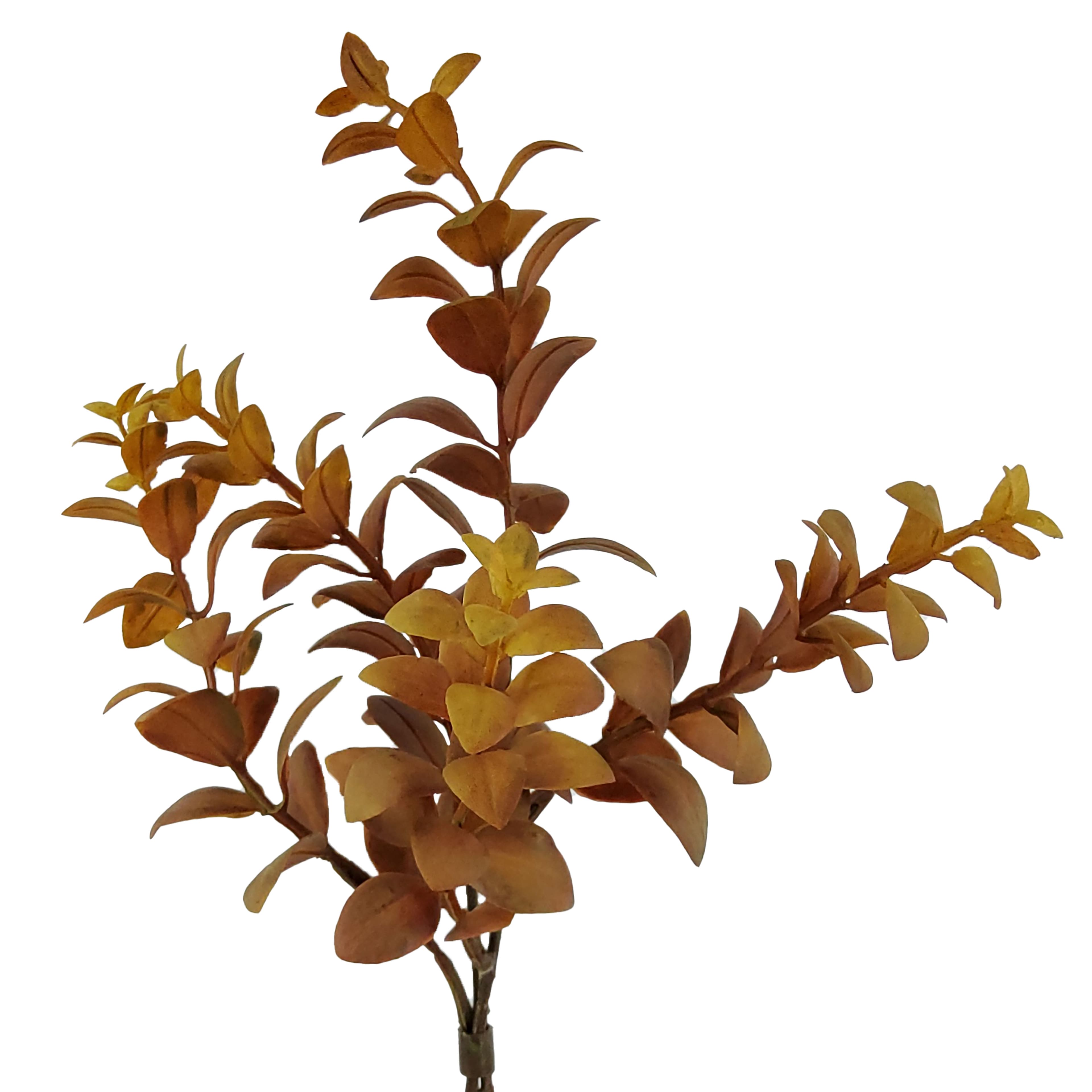 12" Brown Eucalyptus Bundle by Ashland®
