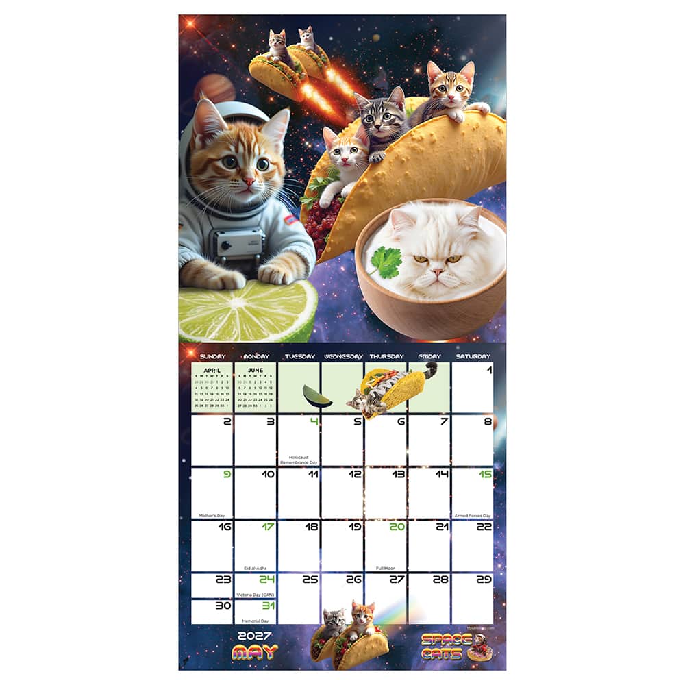 2027 Space Cats Mini Calendar