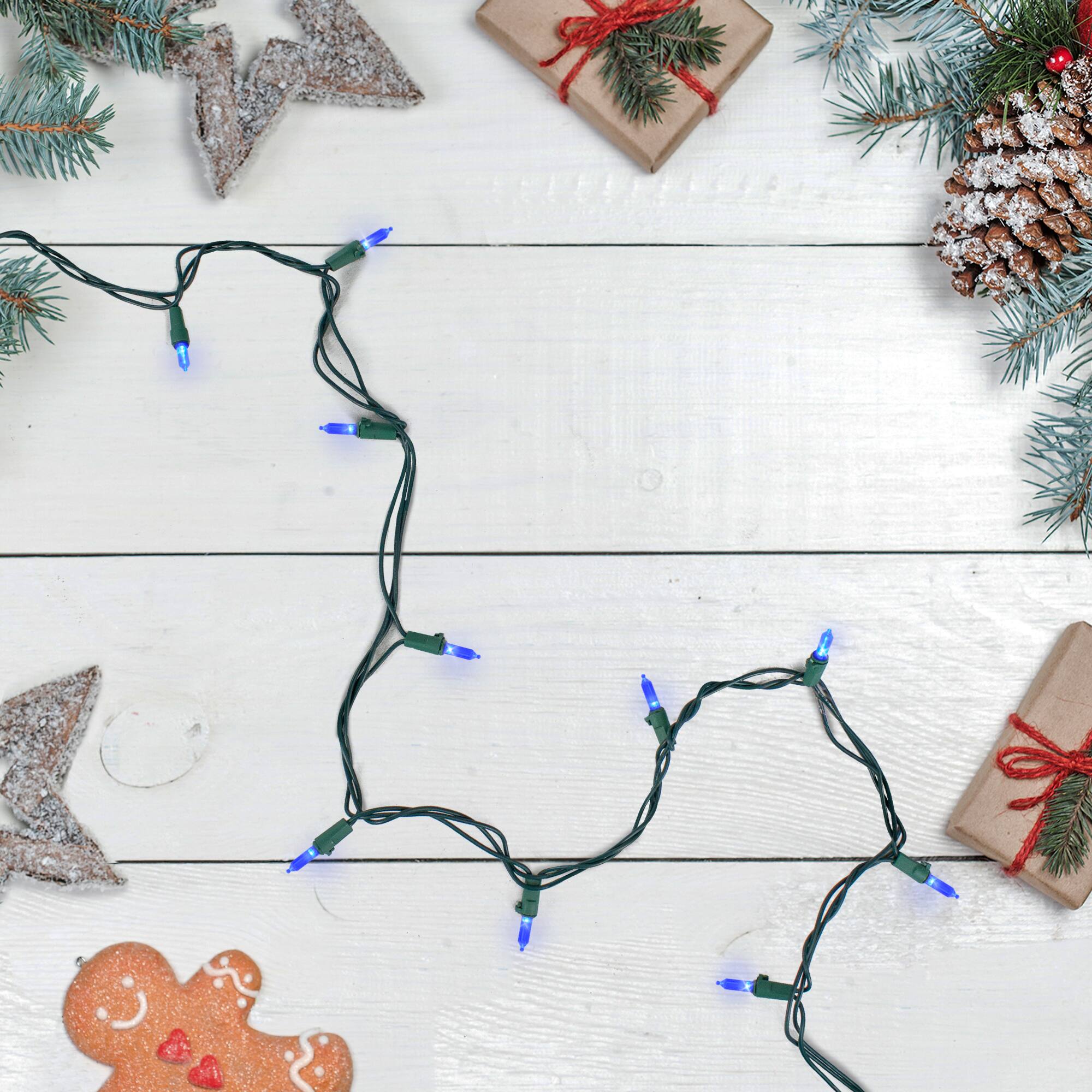 100ct. LED Mini Christmas Lights With Green Wire