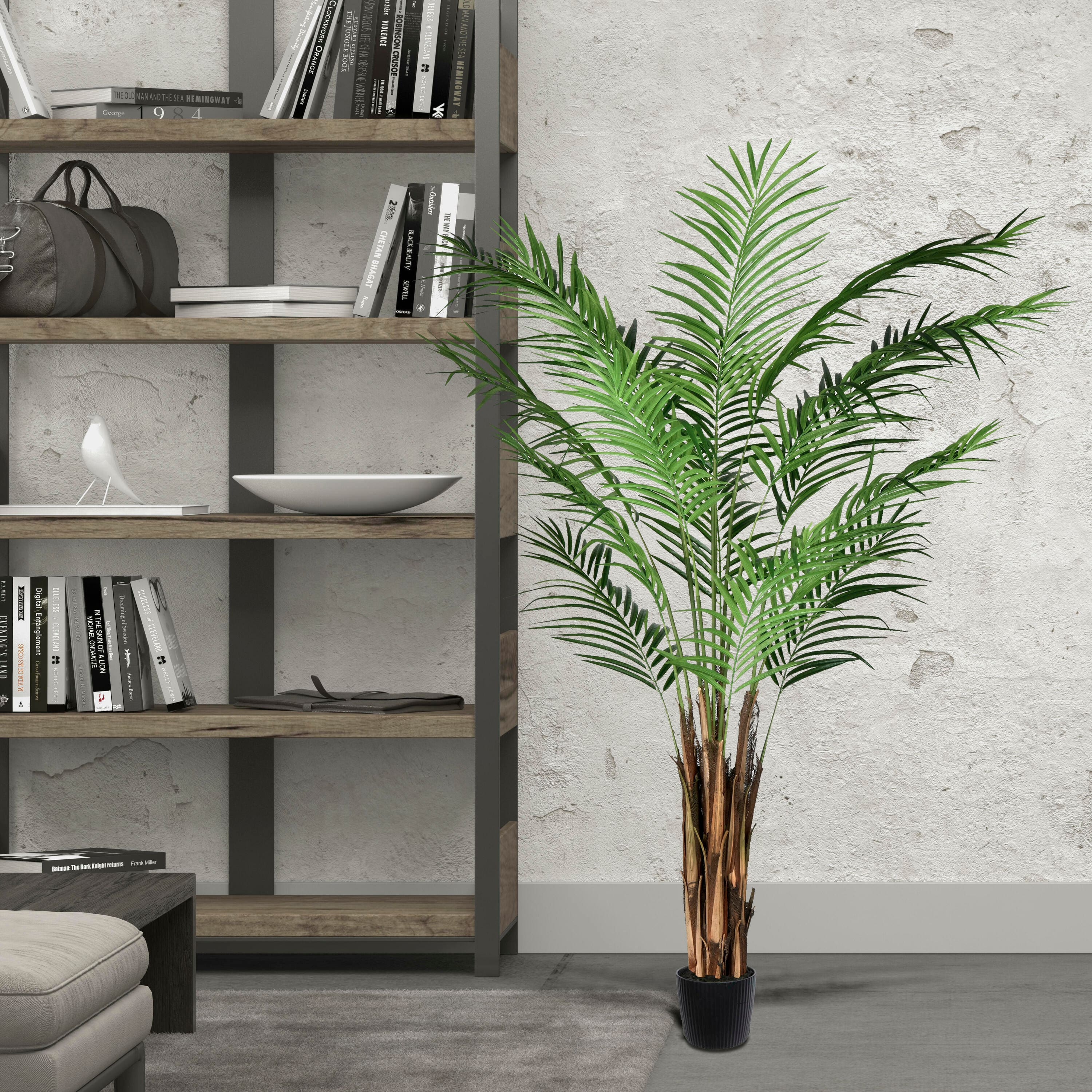 6ft. Potted Giant Areca Palm Tree