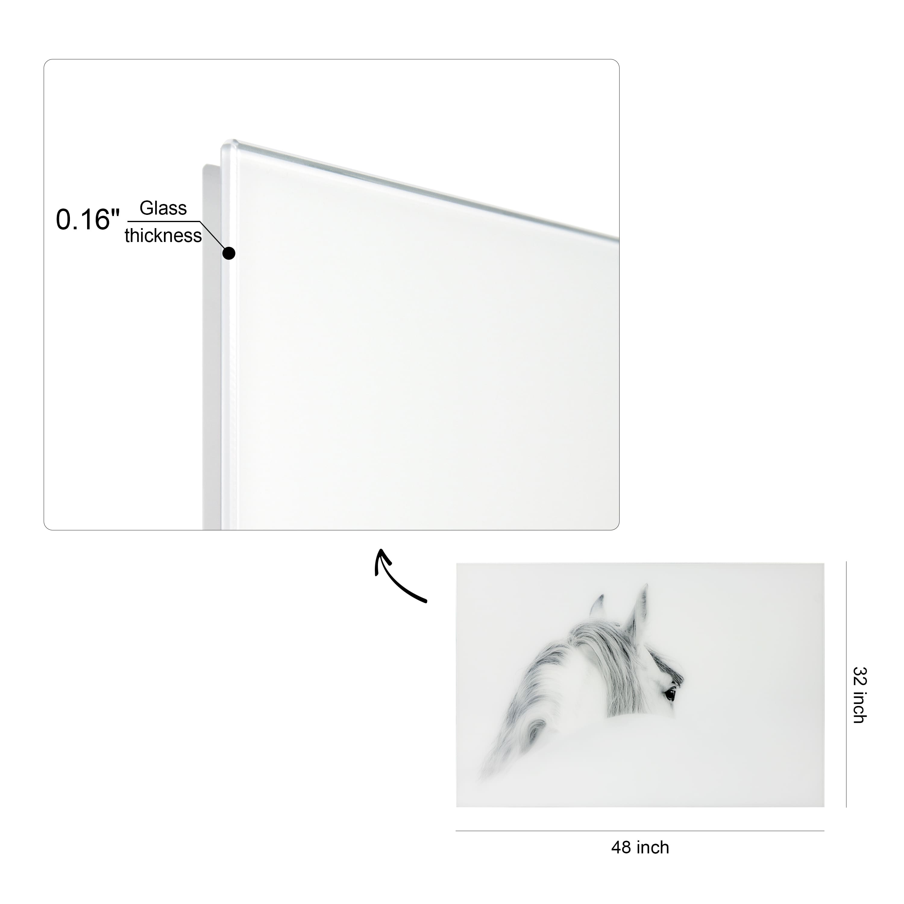 Empire Art Direct Vetro De Arte 48" x 32" Blanco Mare Horse Frameless Free Floating Printed Tempered Glass Wall Art