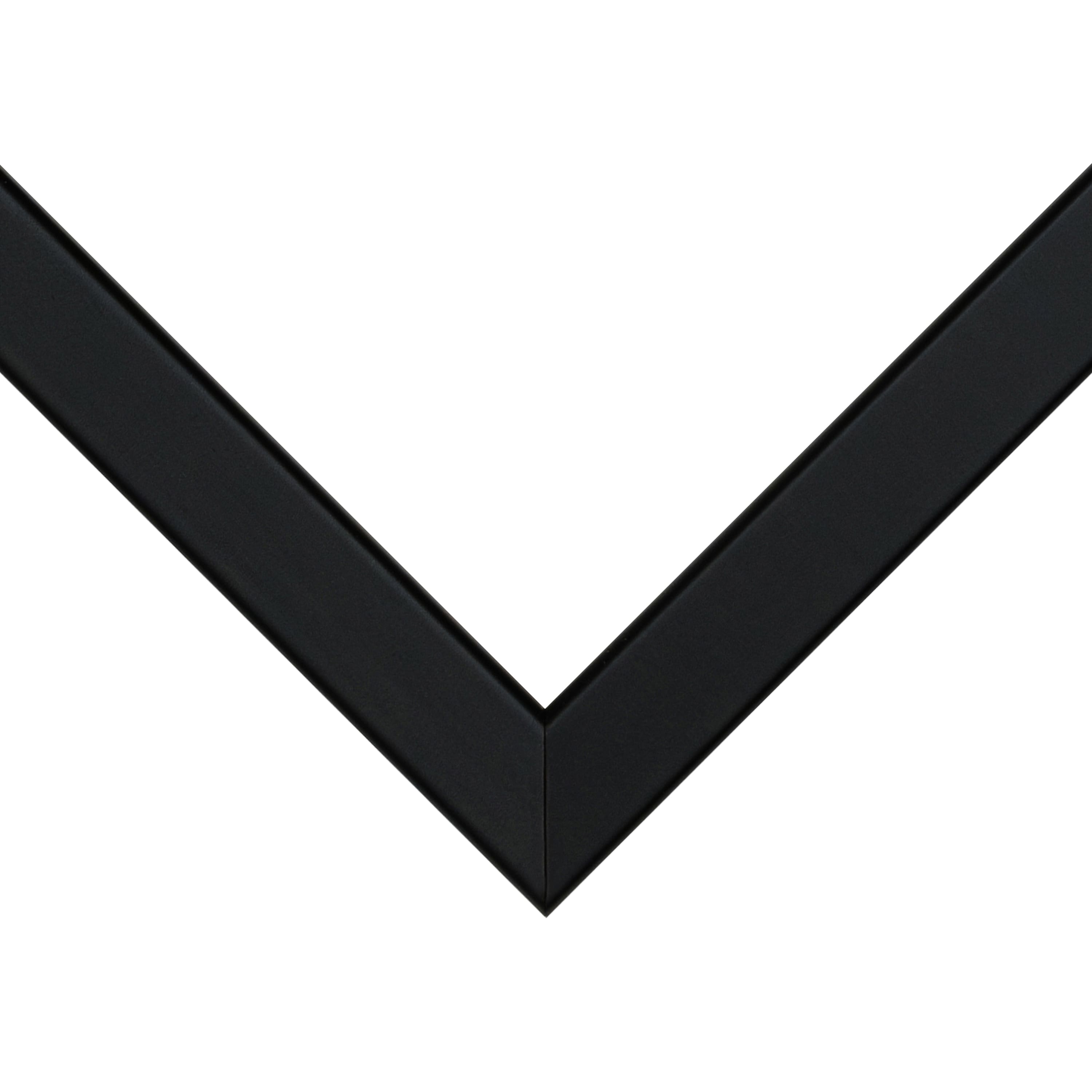 Frame USA TRUE Depth Black Single Image Picture Frame