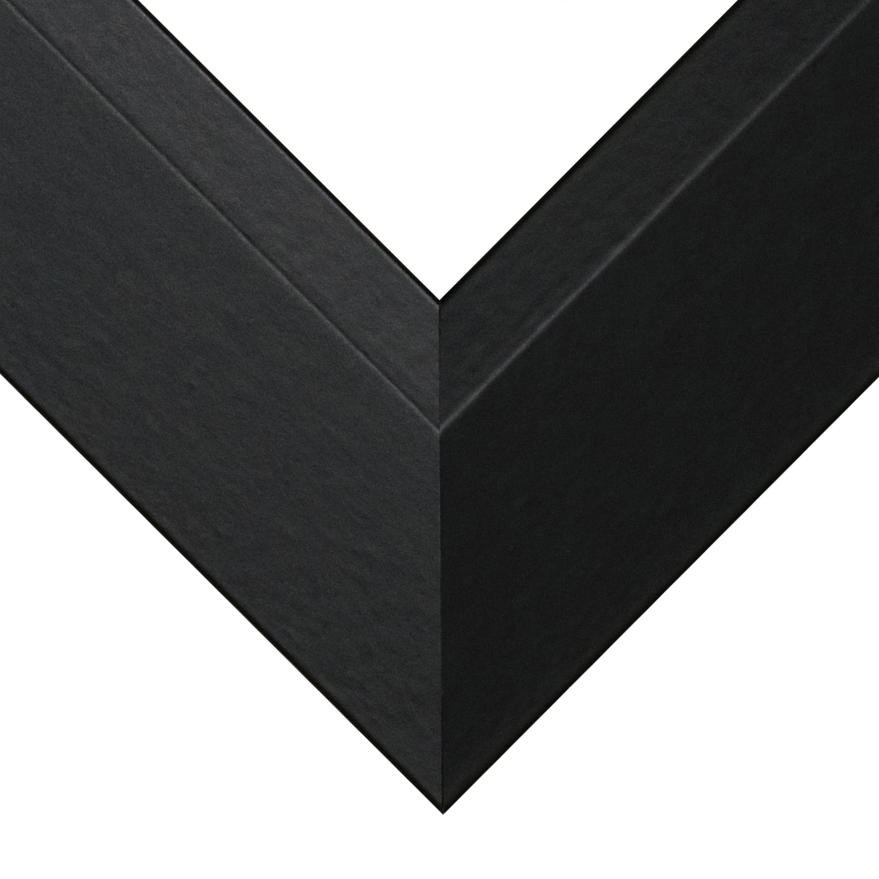 Frame USA Black Series Large Black Single Image Picture Frame with Mat