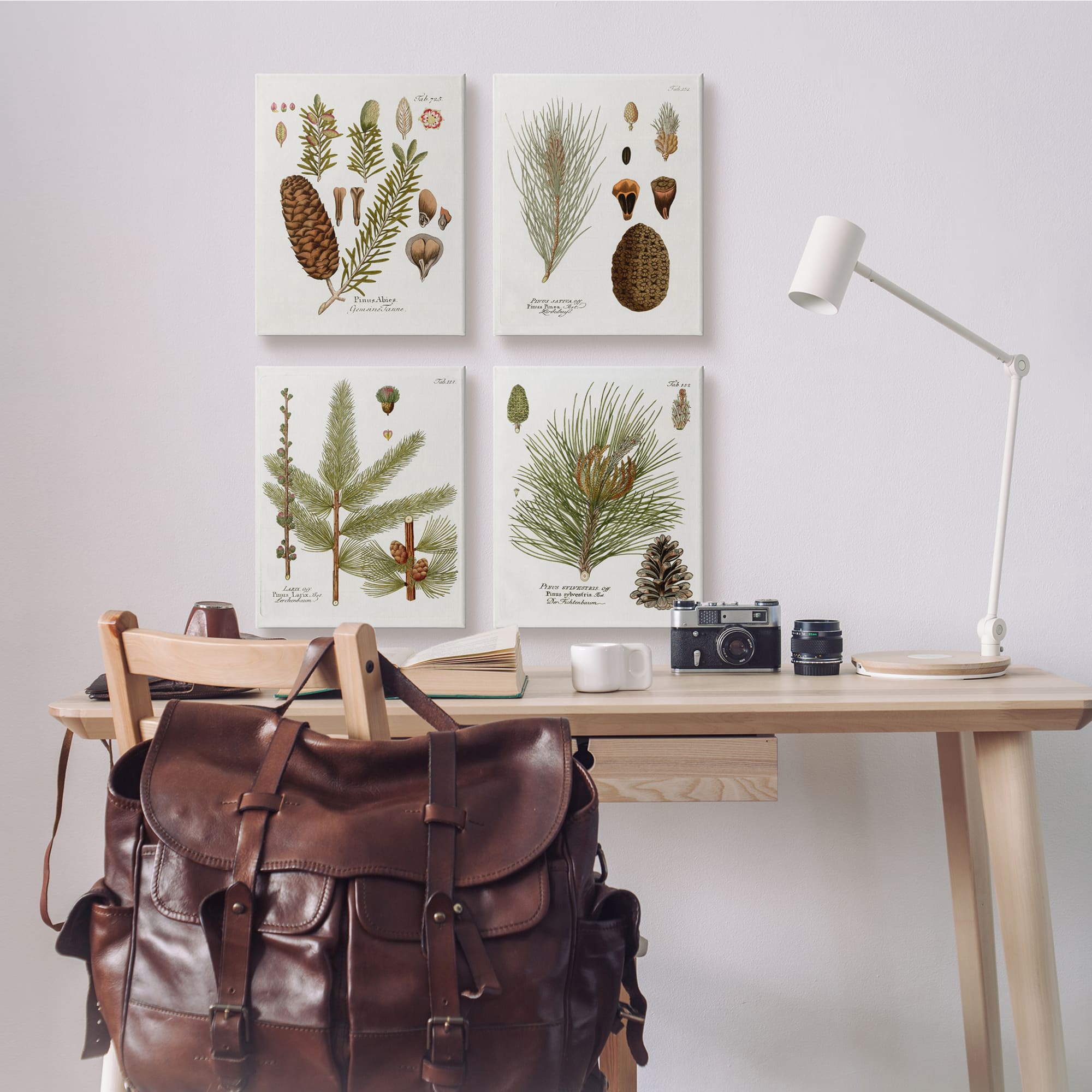 Stupell Industries Vintage Forest Pine Illustrated Study Green Brown Plants Canvas Wall Art, 16" x 20"
