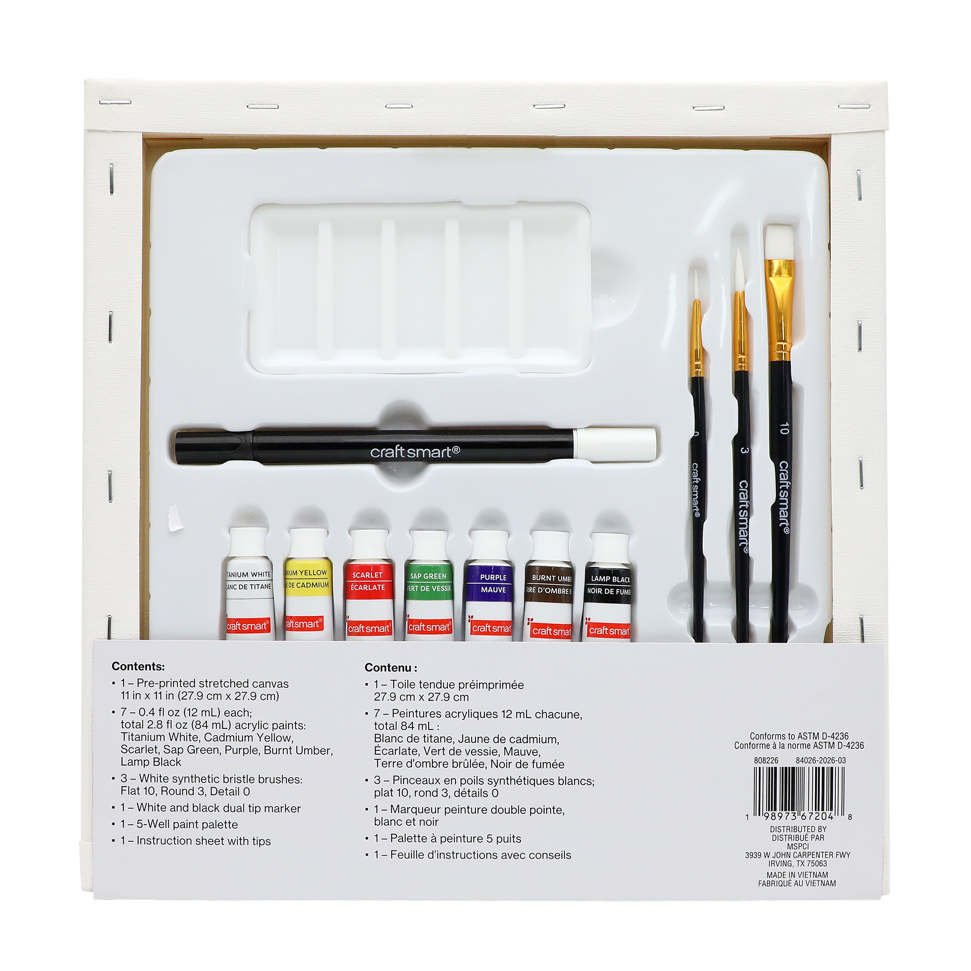 11" x 11" Cat Library Canvas Painting Kit by Craft Smart®