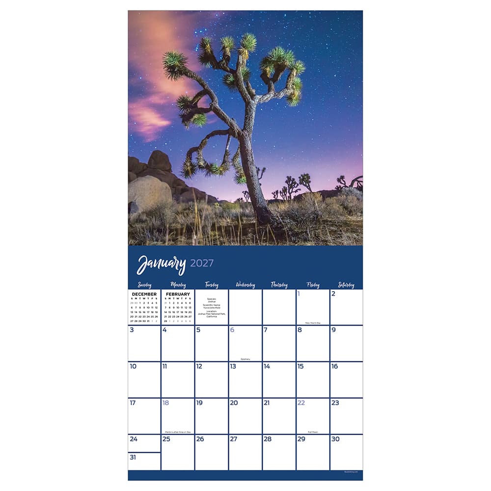 2027 Trees Wall Calendar