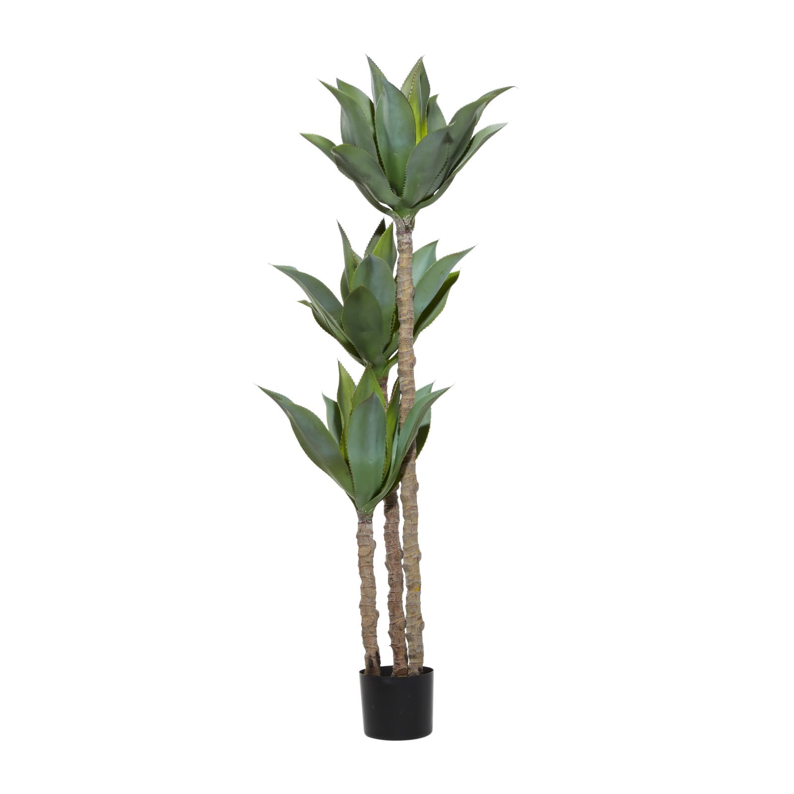 5ft. Potted Yucca Tree
