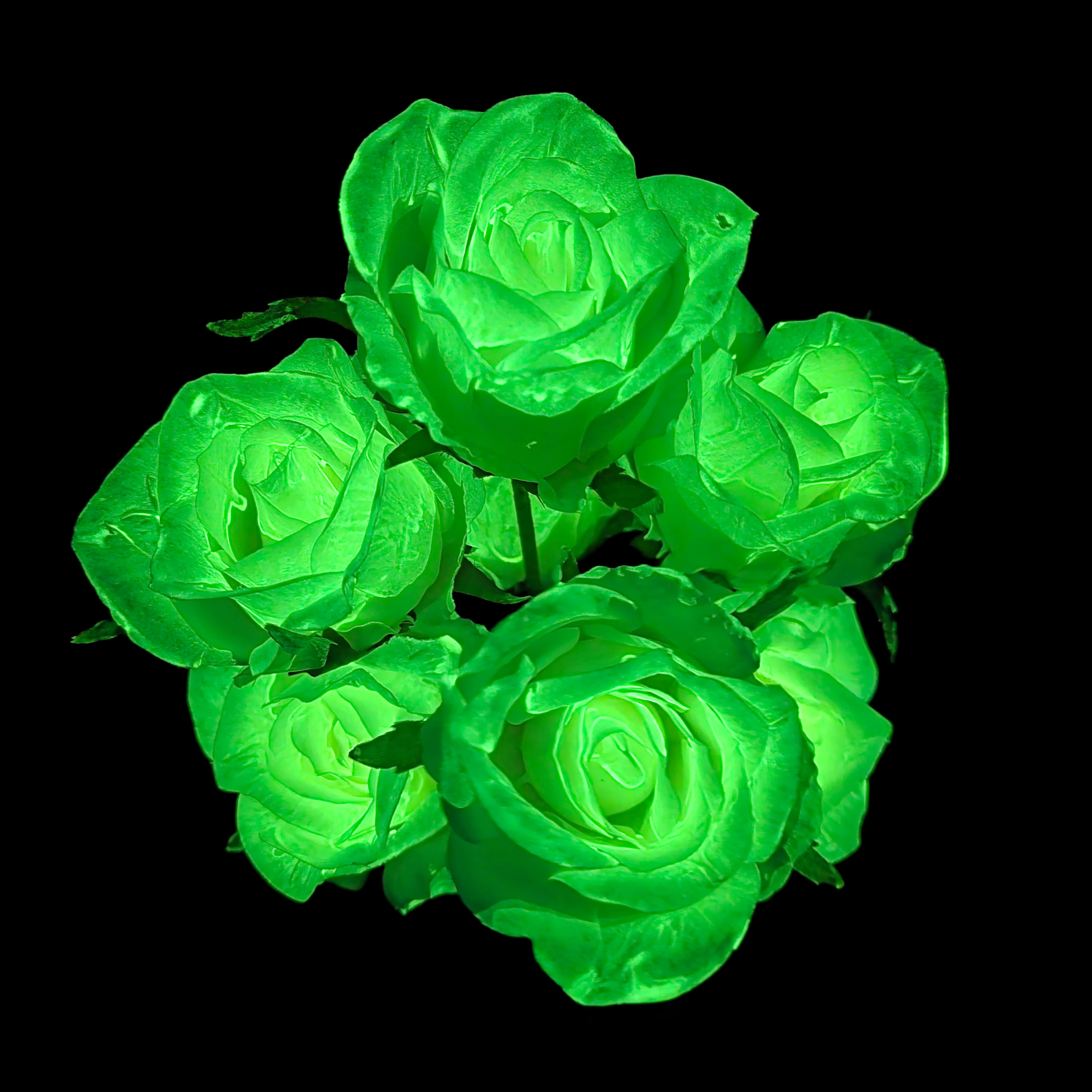 17" Glow-in-the-Dark White Rose Bush by Ashland®